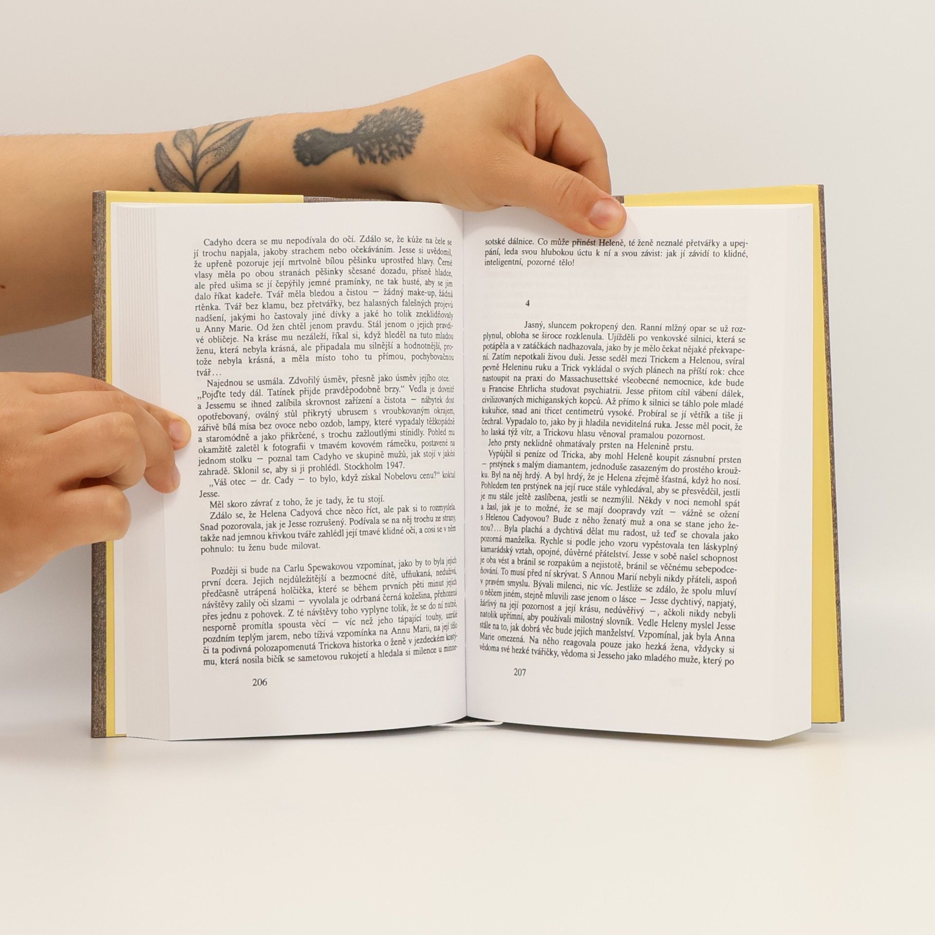 Joyce Carol Oates Země divů