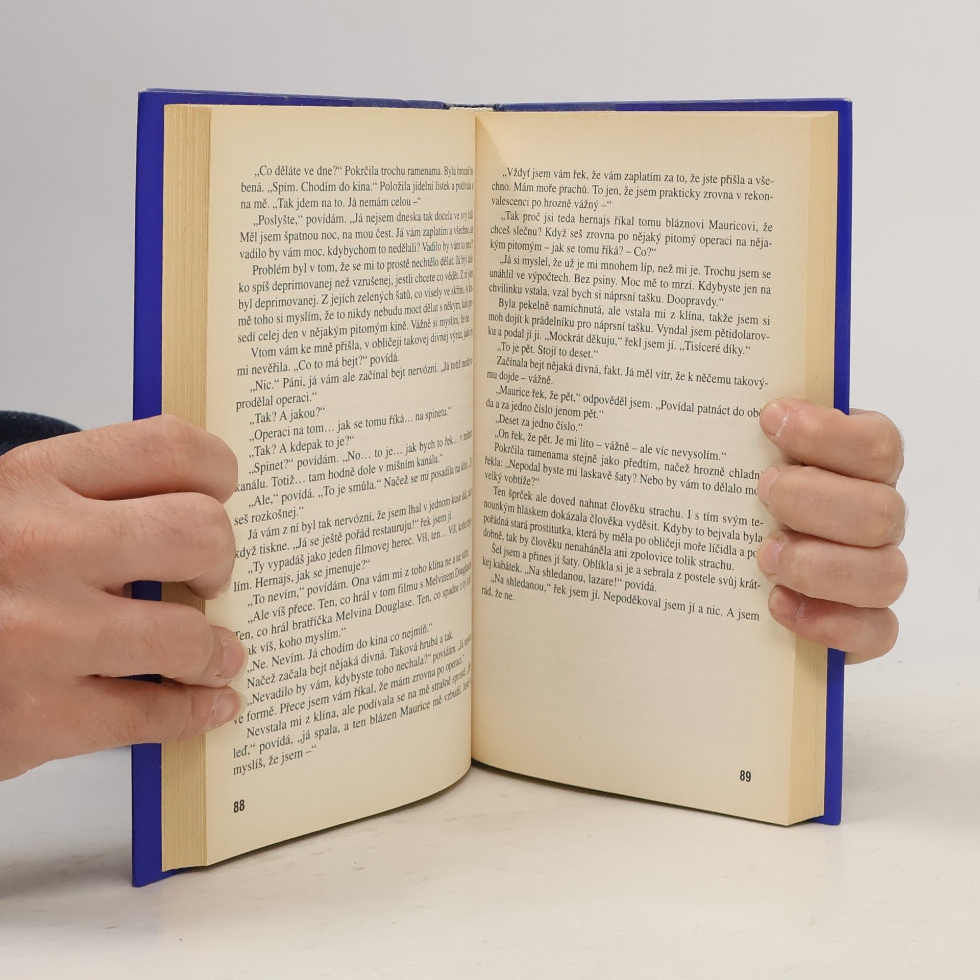 J. D. Salinger Kdo chytá v žitě