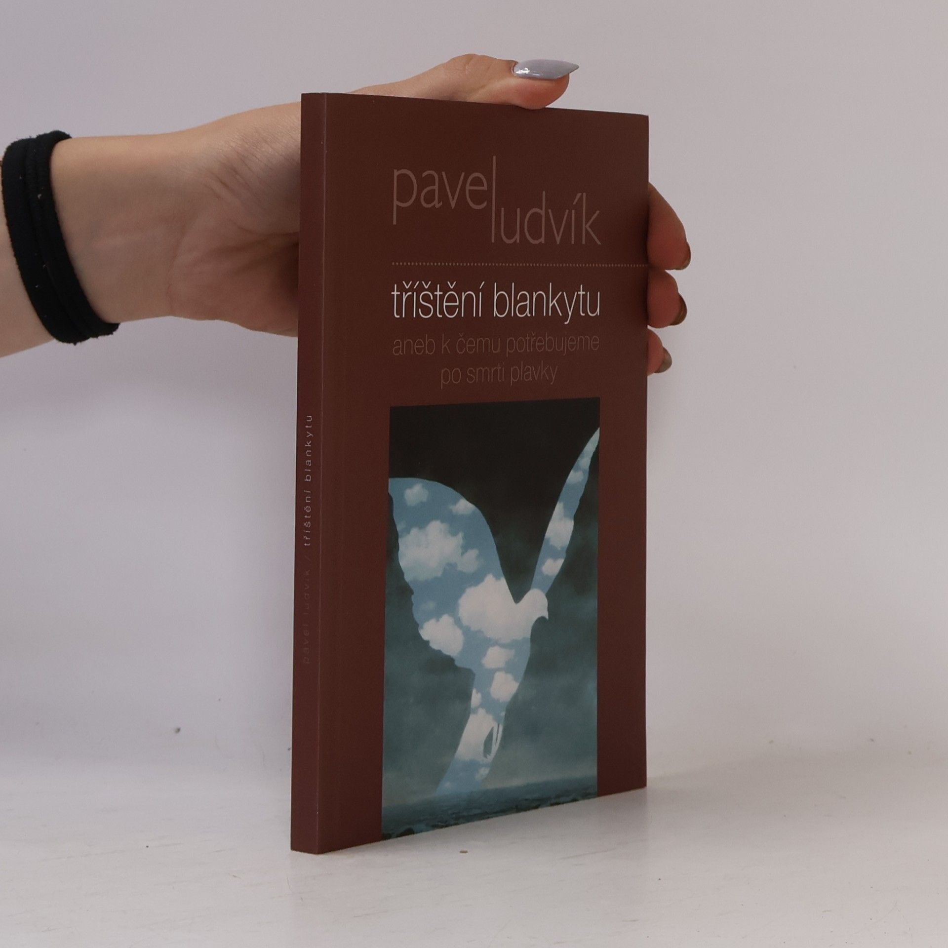 Pavel Ludvík Tříštění blankytu aneb k čemu potřebujeme po smrti plavky