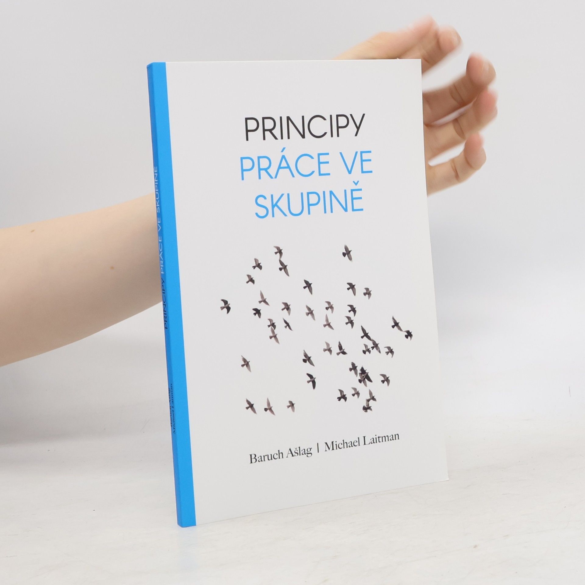 Baruch Rabash Ashlag Principy práce ve skupině