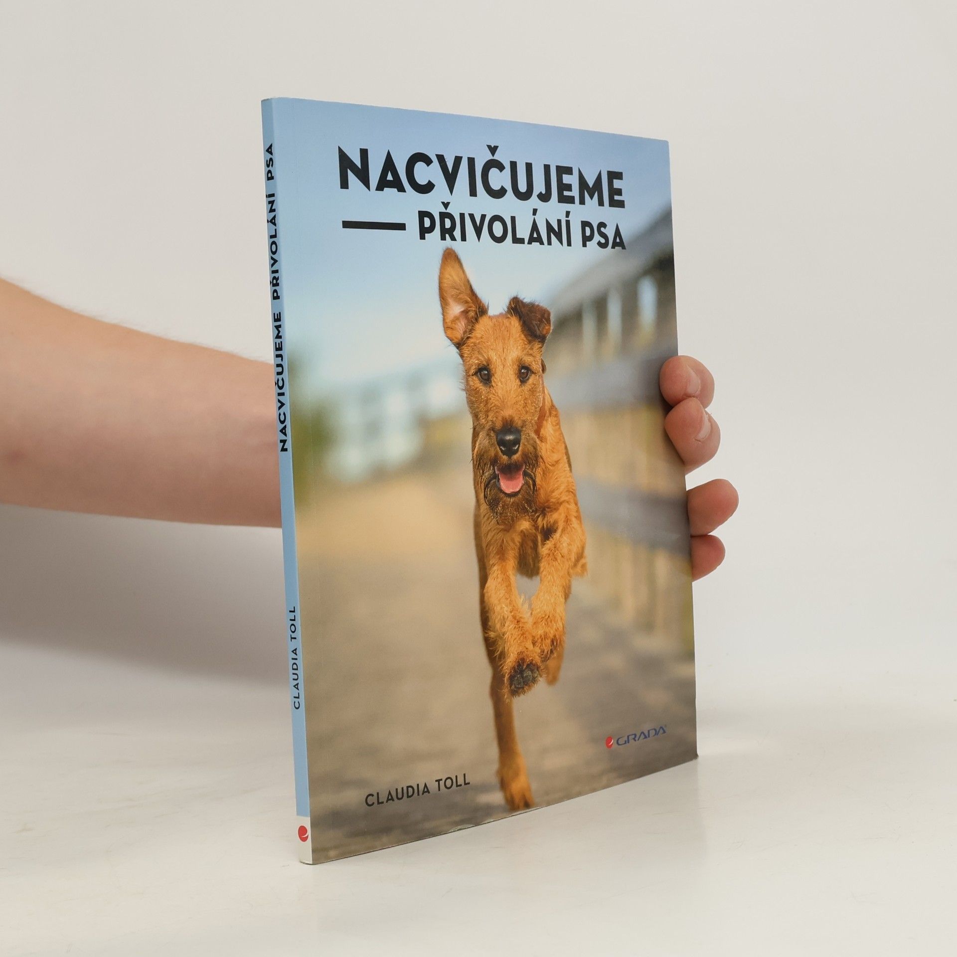 Nacvičujeme přivolání psa