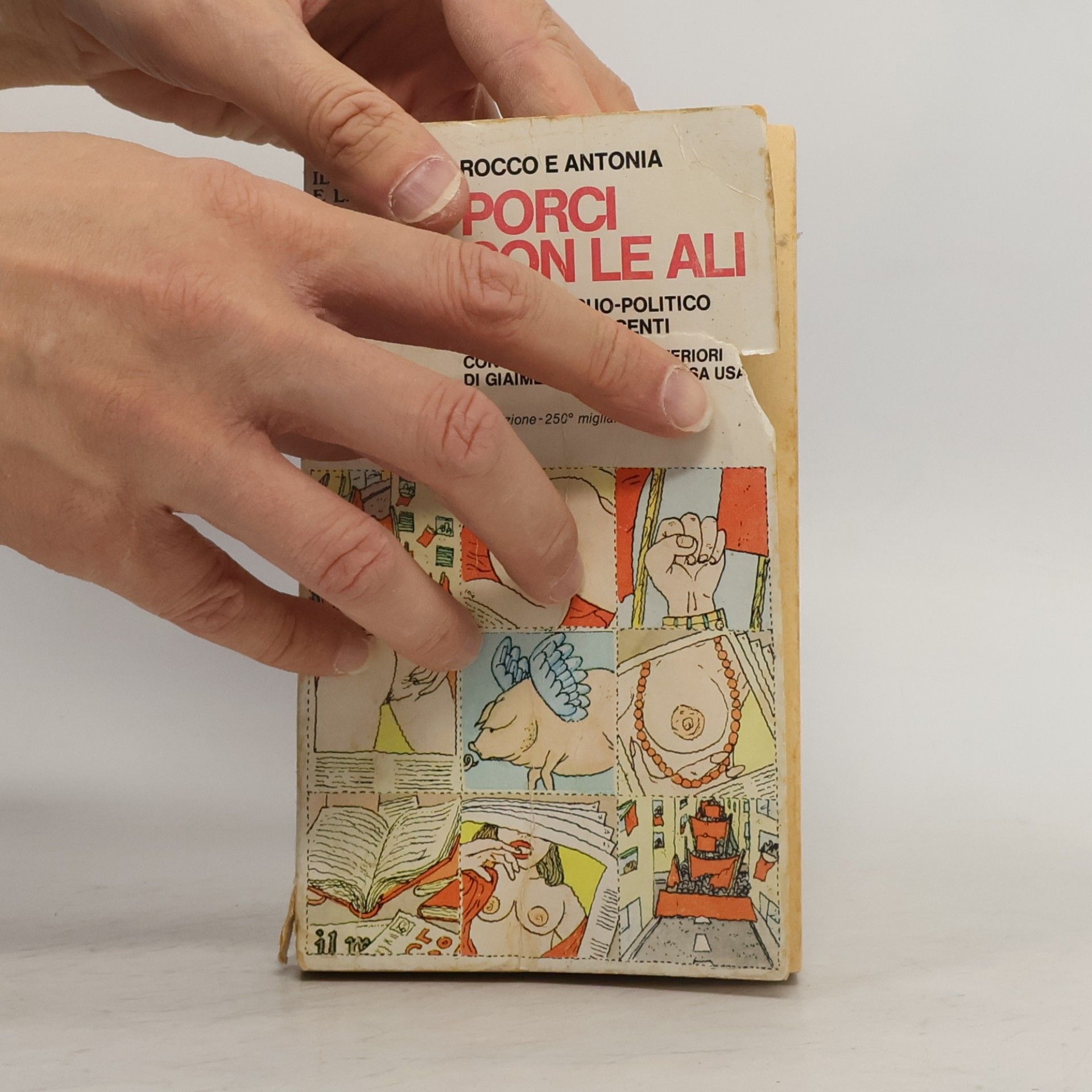 Various authors Porci con le ali