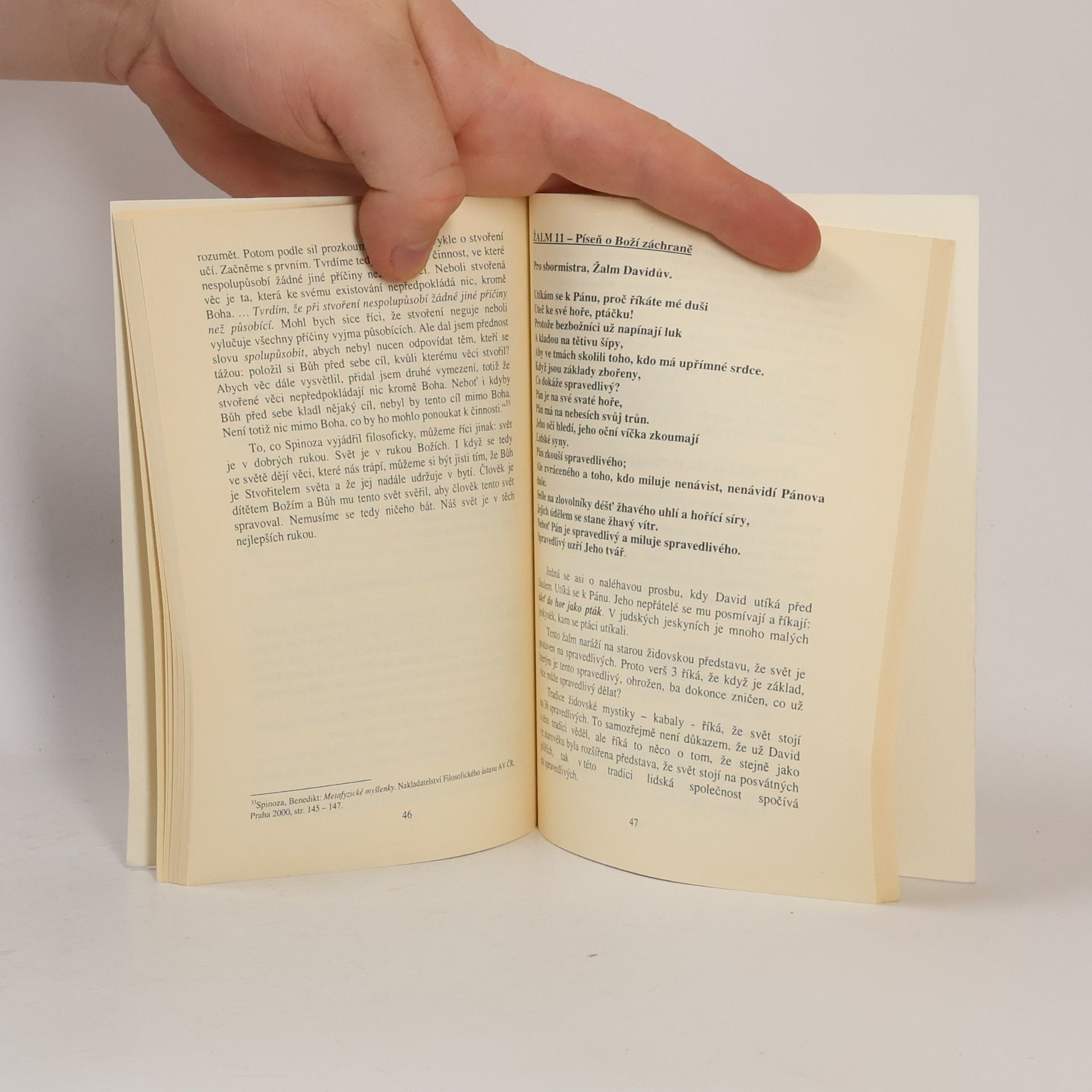 Josef Blaha Úvod do Knihy žalmů v zrcadle poesie