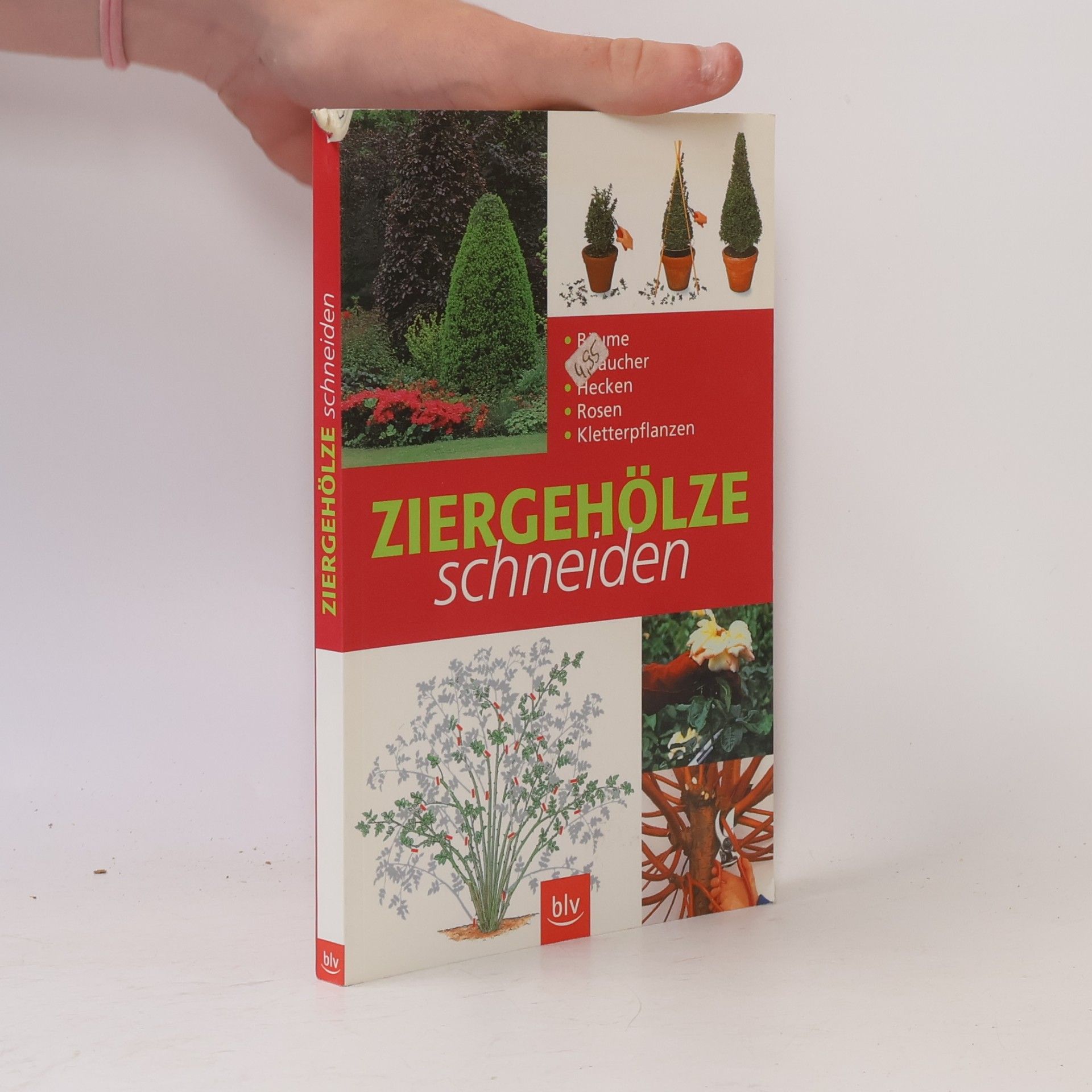 Karen Cochrane Ziergehölze schneiden