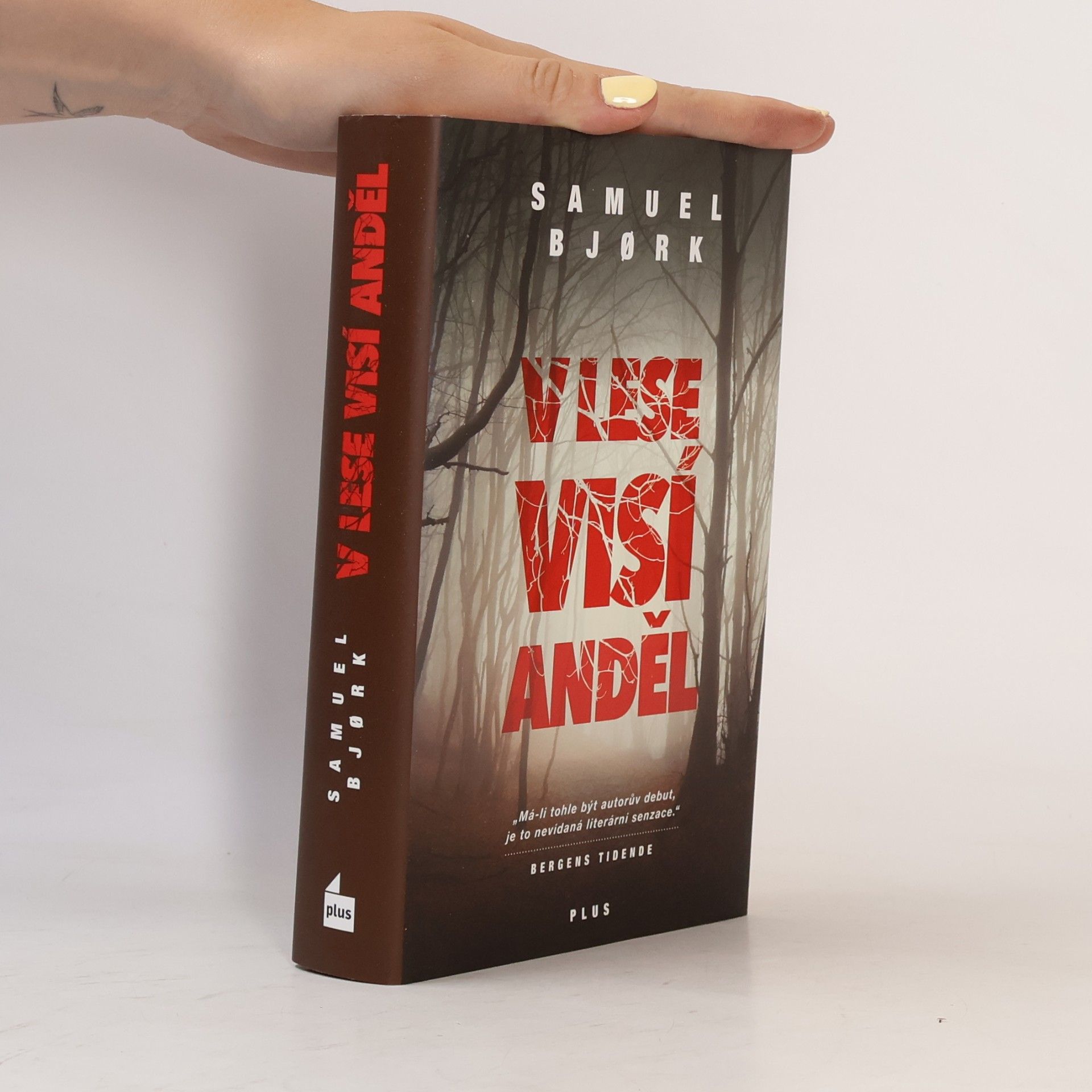 Samuel Bjork V lese visí anděl