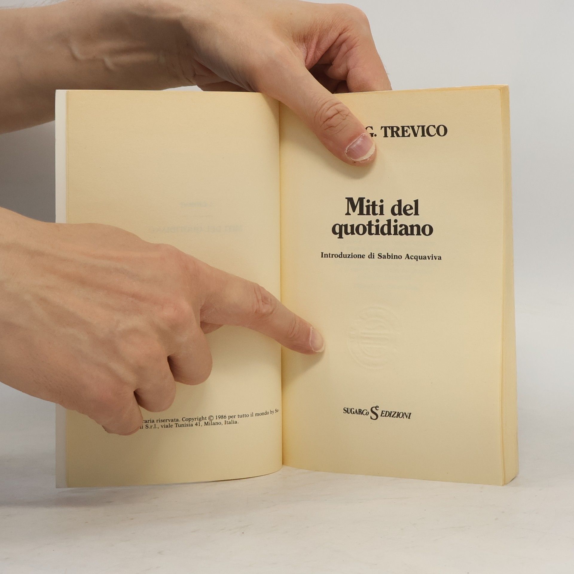 Rosa Giannetta Trevico Miti del quotidiano
