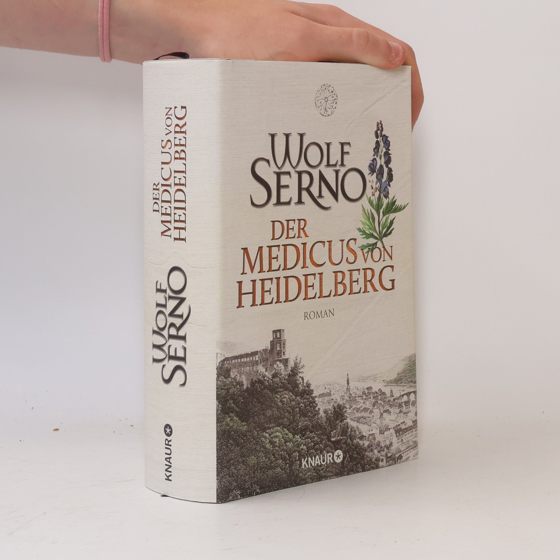 Wolf Serno Der Medicus von Heidelberg