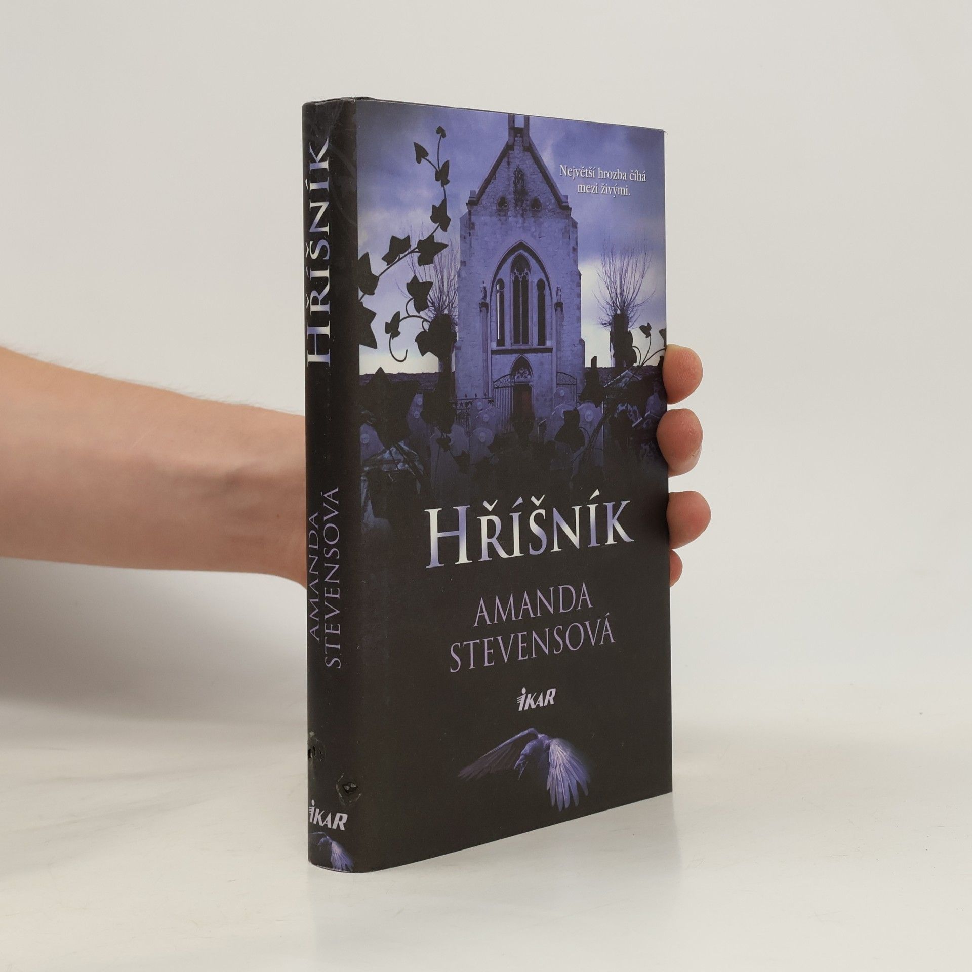 Amanda Stevens Hříšník