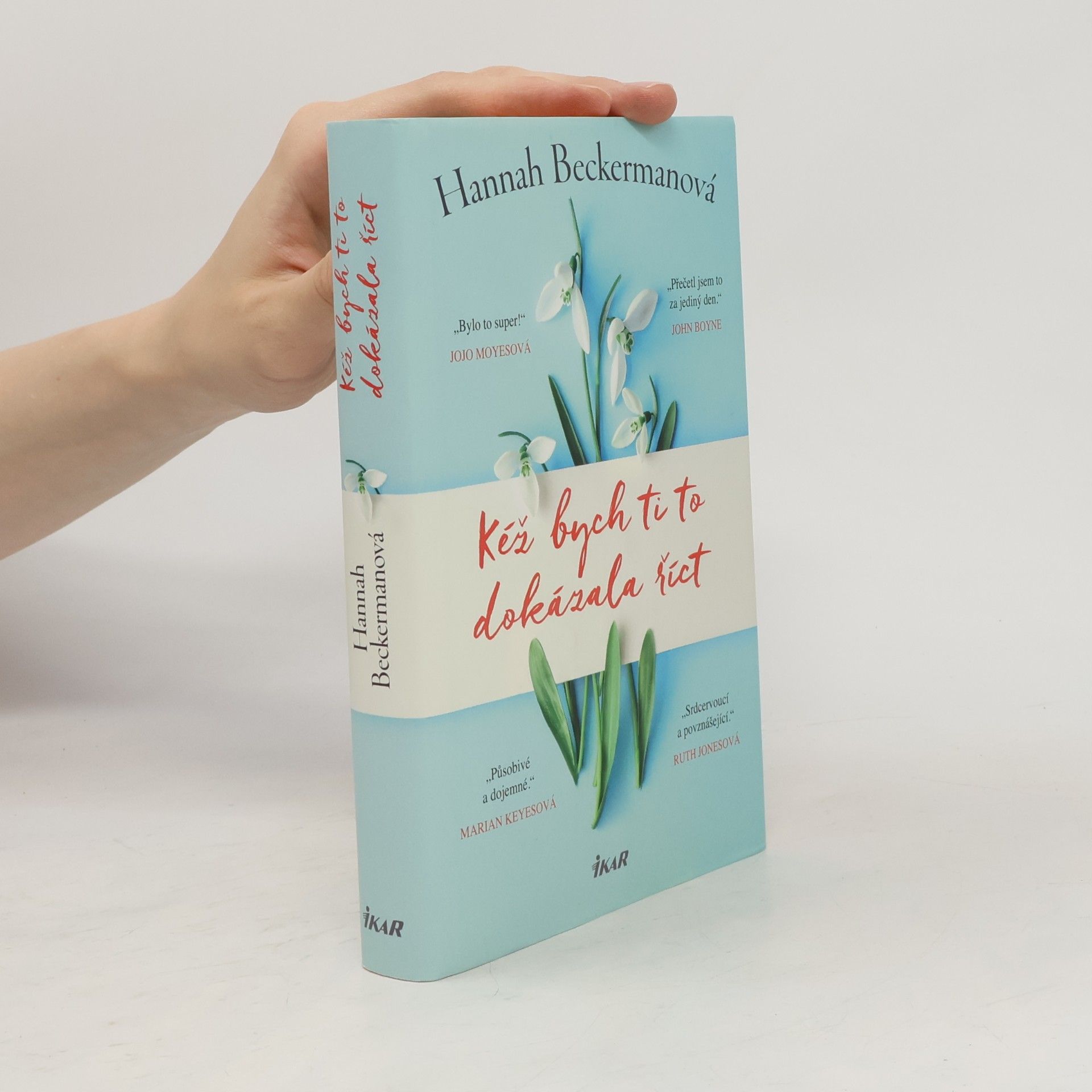 Hannah Beckerman Kéž bych ti to dokázala říct