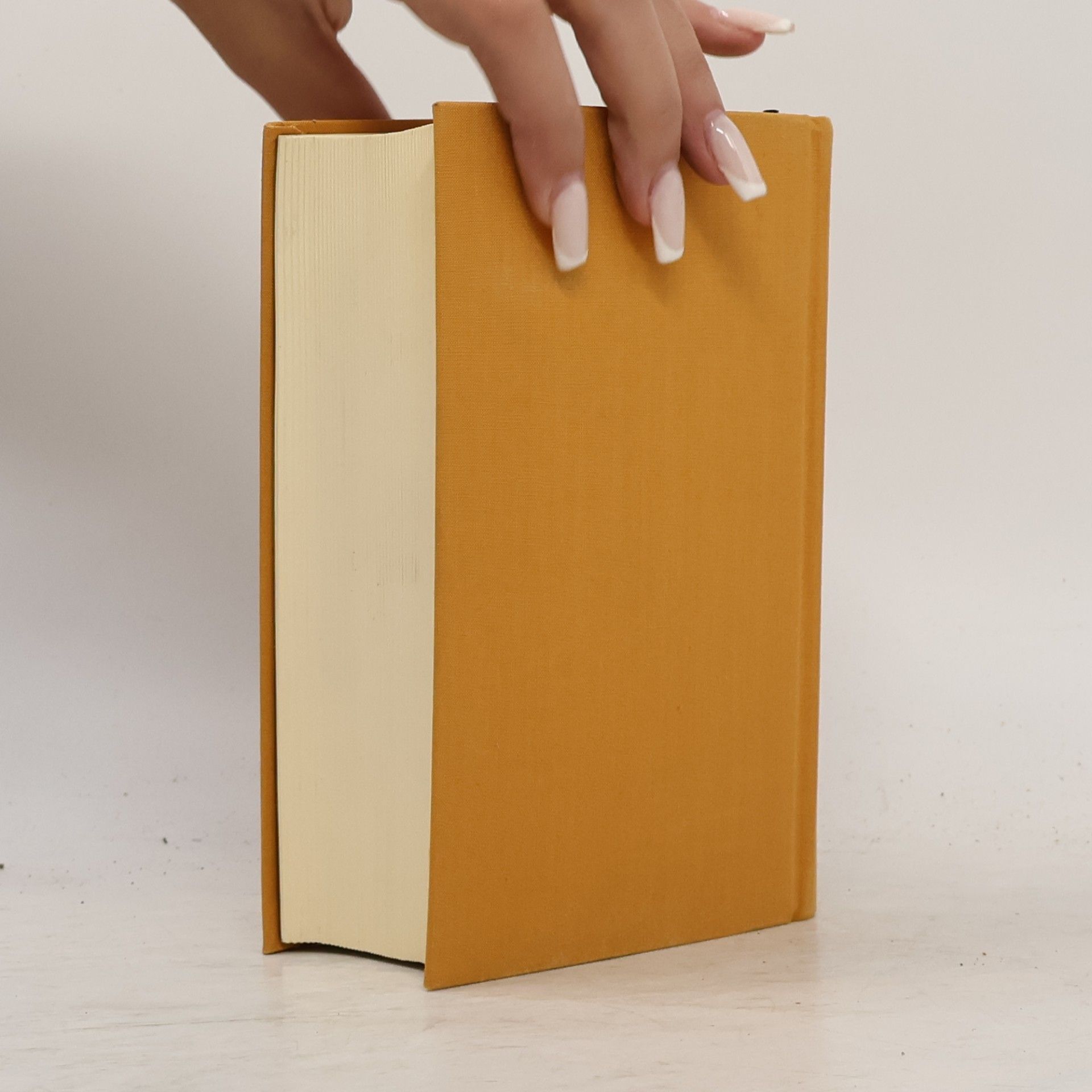 Laurence Sterne Leben und Ansichten von Tristram Shandy