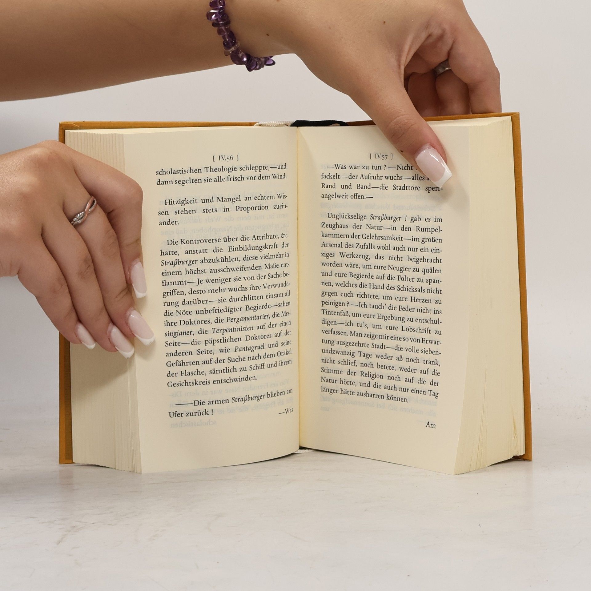 Laurence Sterne Leben und Ansichten von Tristram Shandy