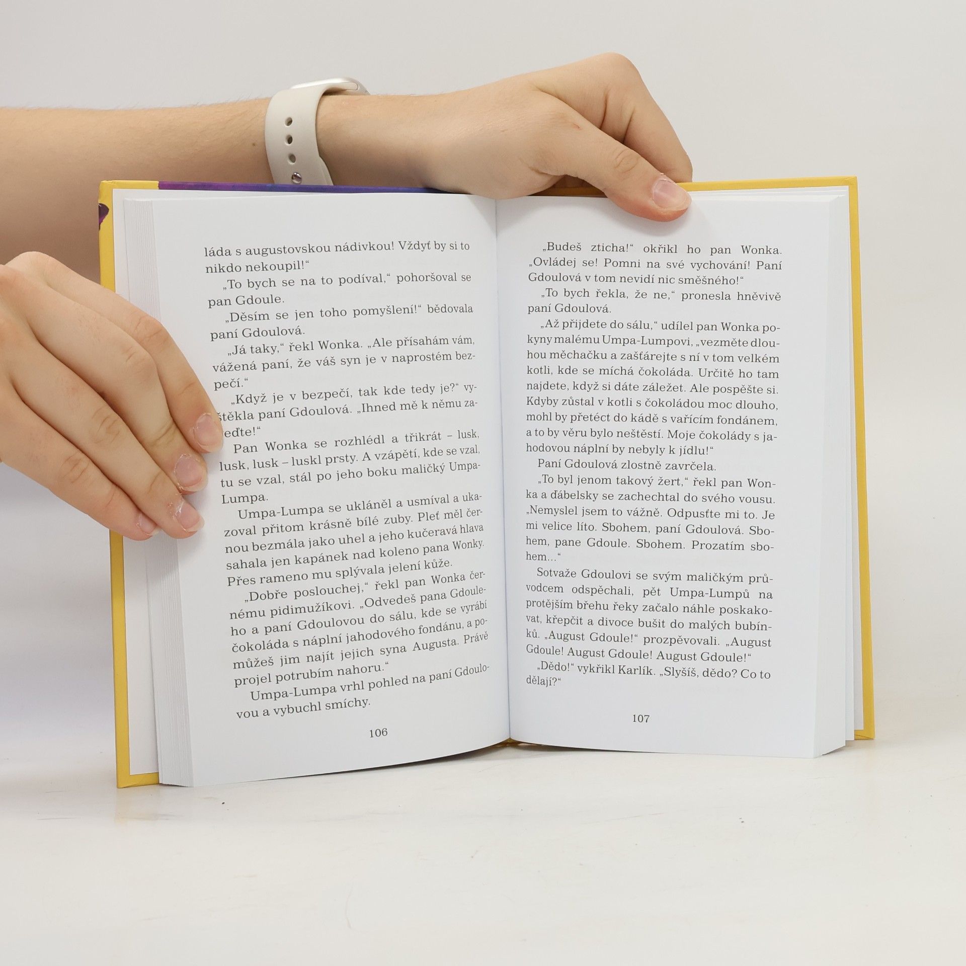 Roald Dahl Karlík a továrna na čokoládu