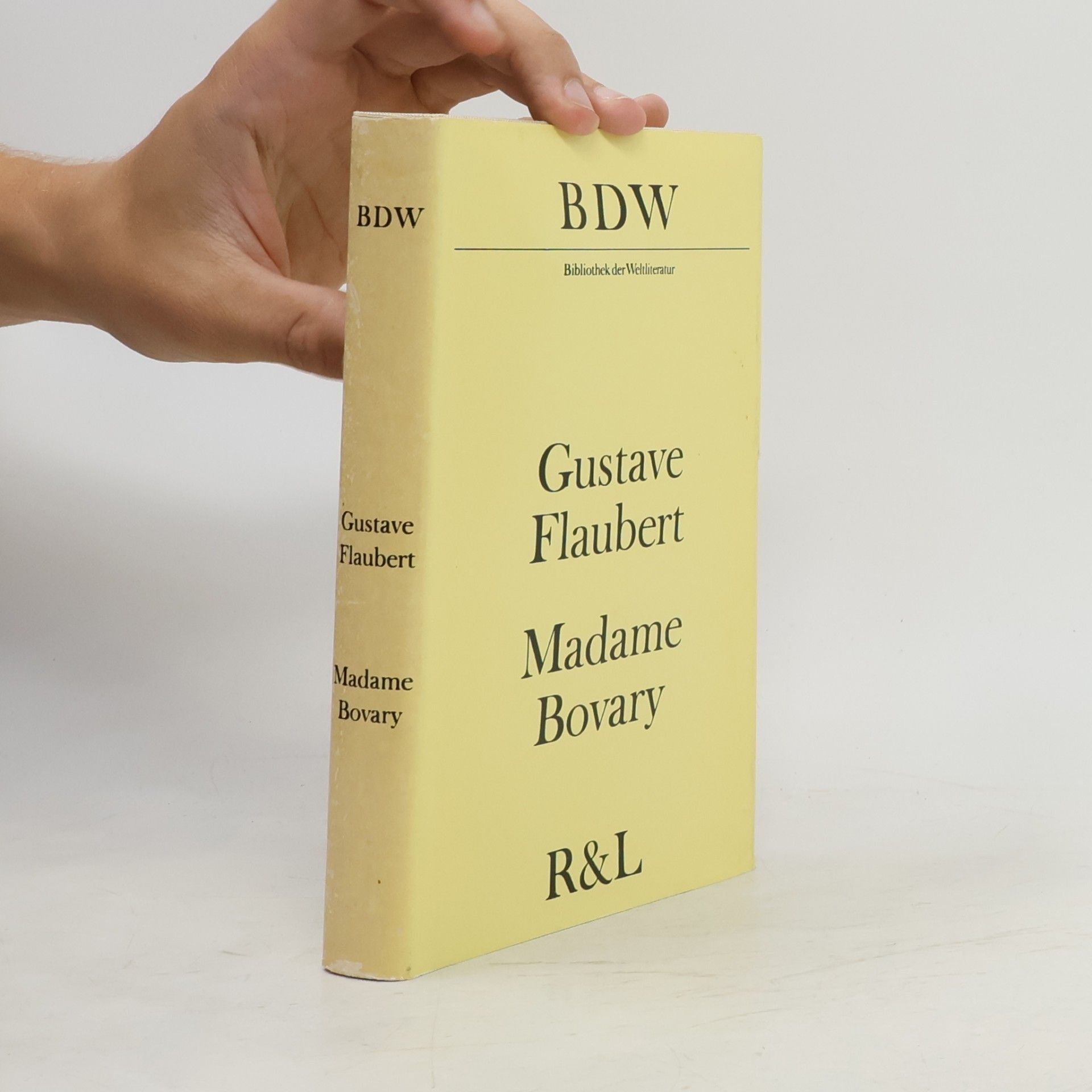 Gustave Flaubert Madame Bovary