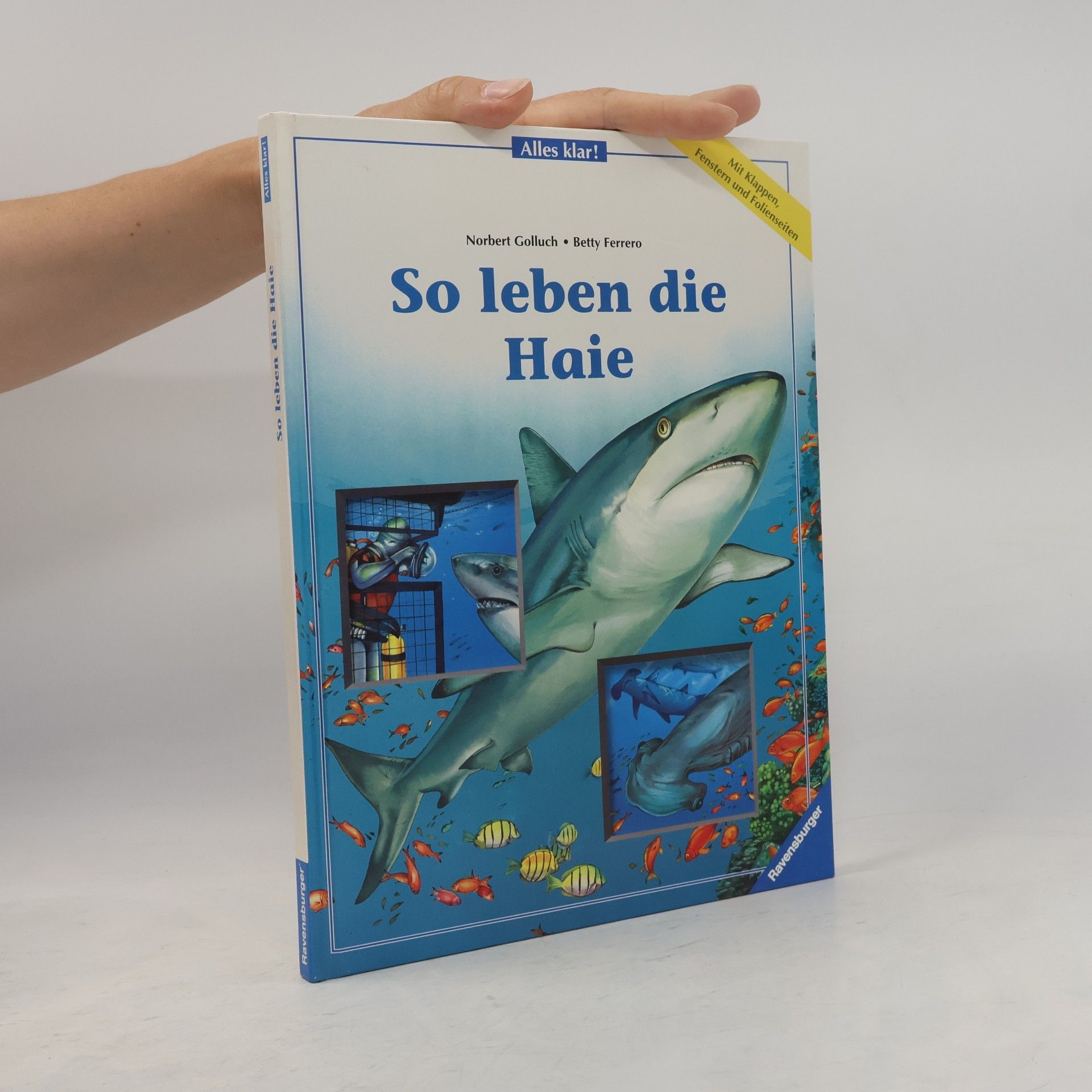 Betty Ferrero So leben die Haie