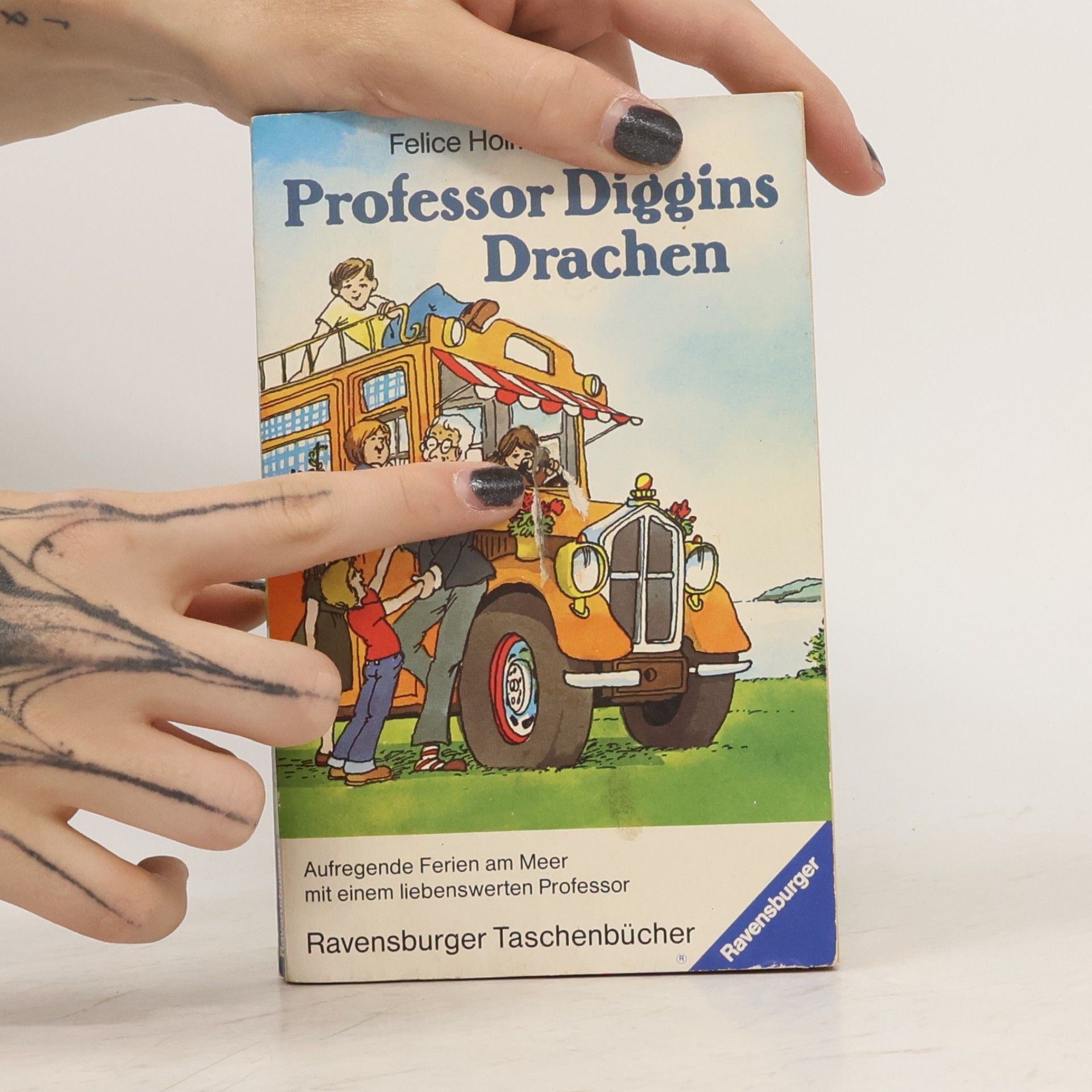 Felice Holman Professor Diggins Drachen