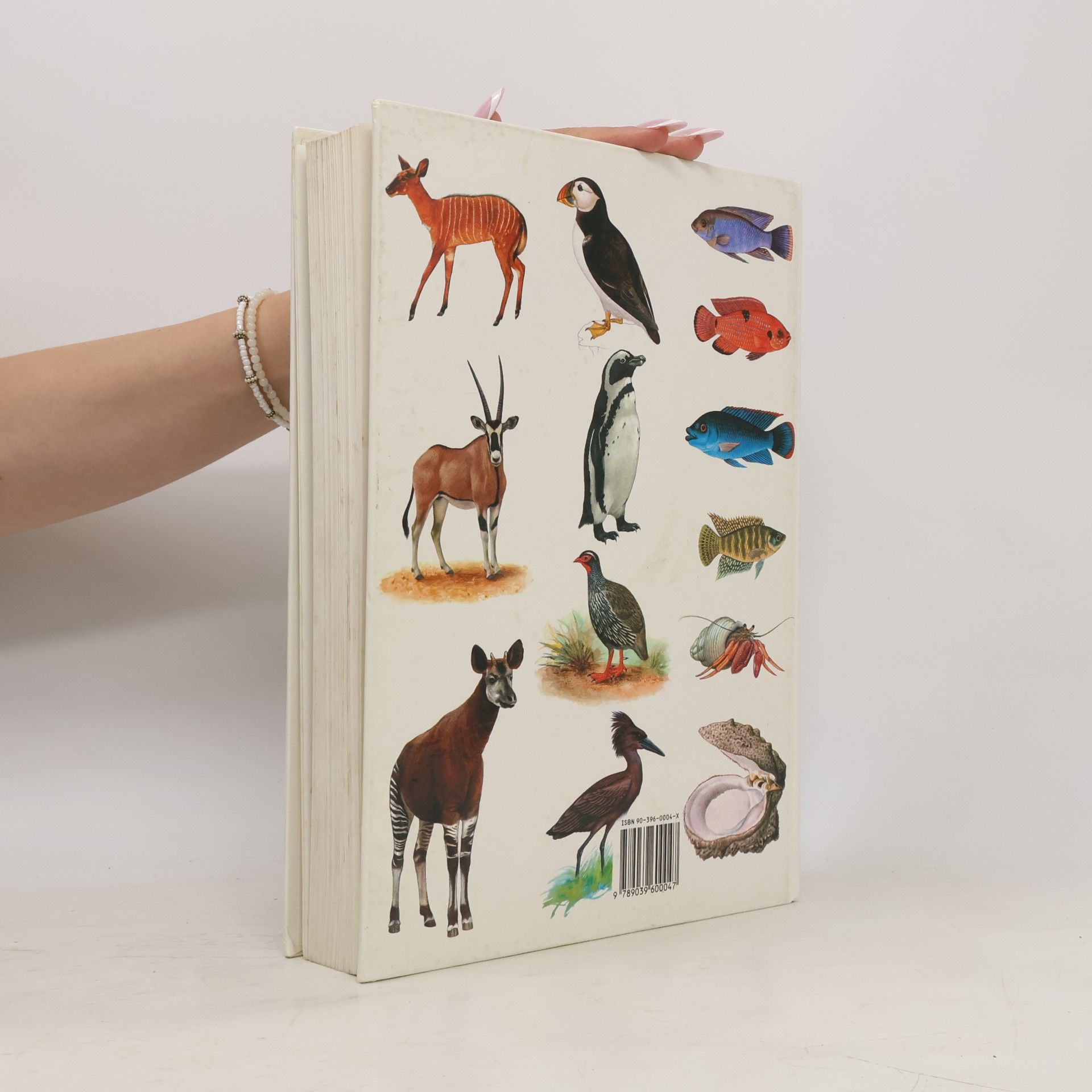 Collectif d'auteurs Dieren over de hele wereld