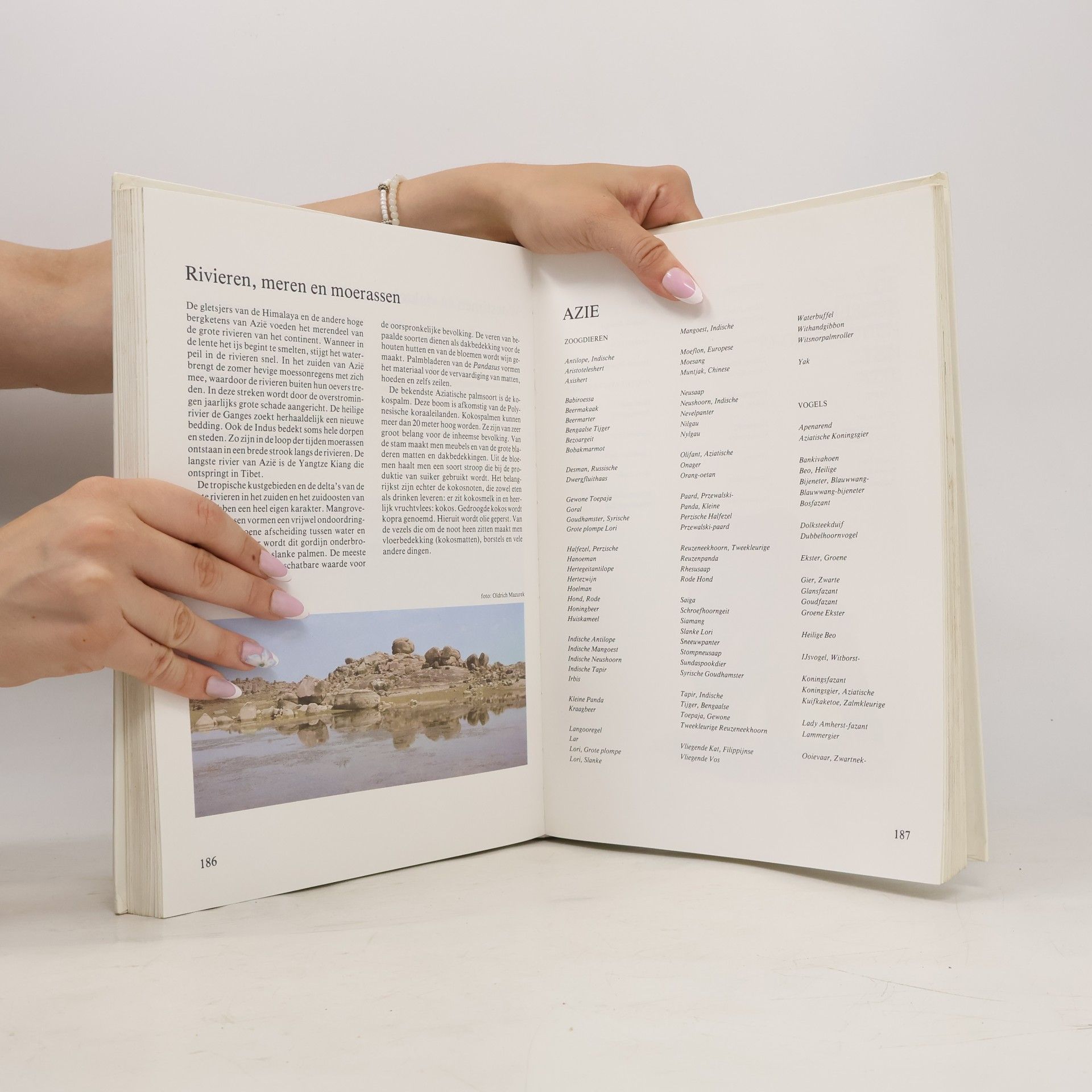 Collectif d'auteurs Dieren over de hele wereld