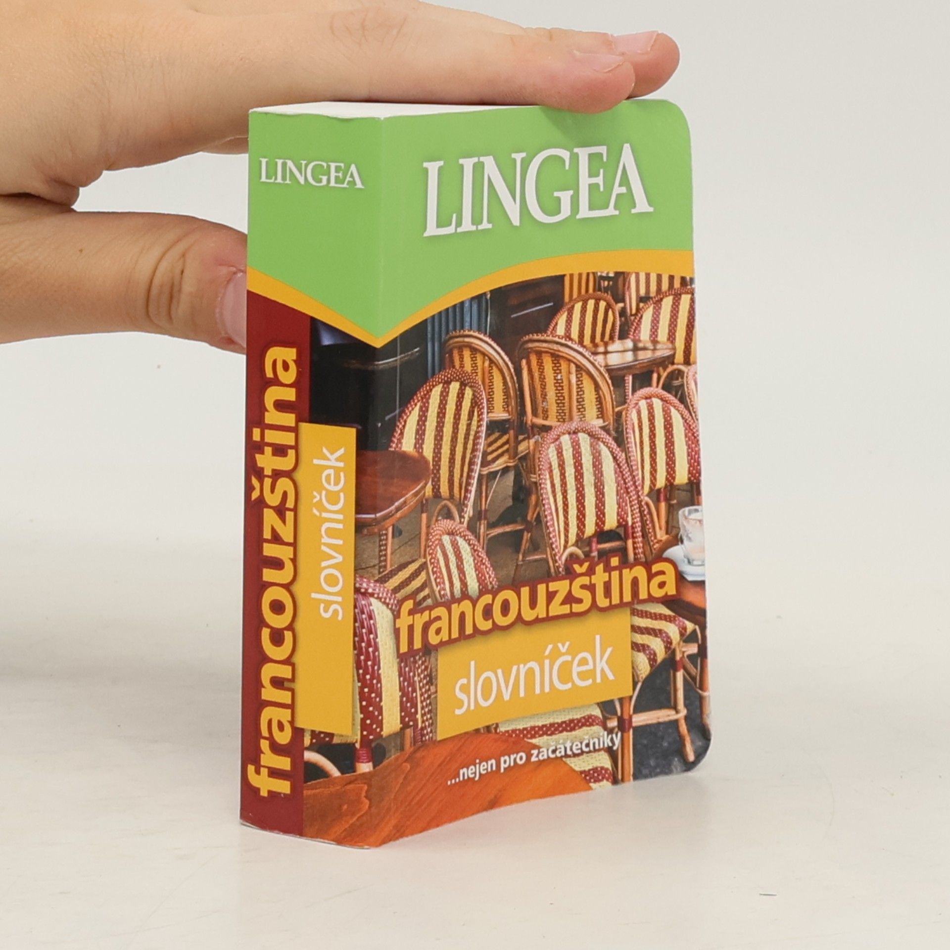 Kolektiv autorů Francouzština : slovníček