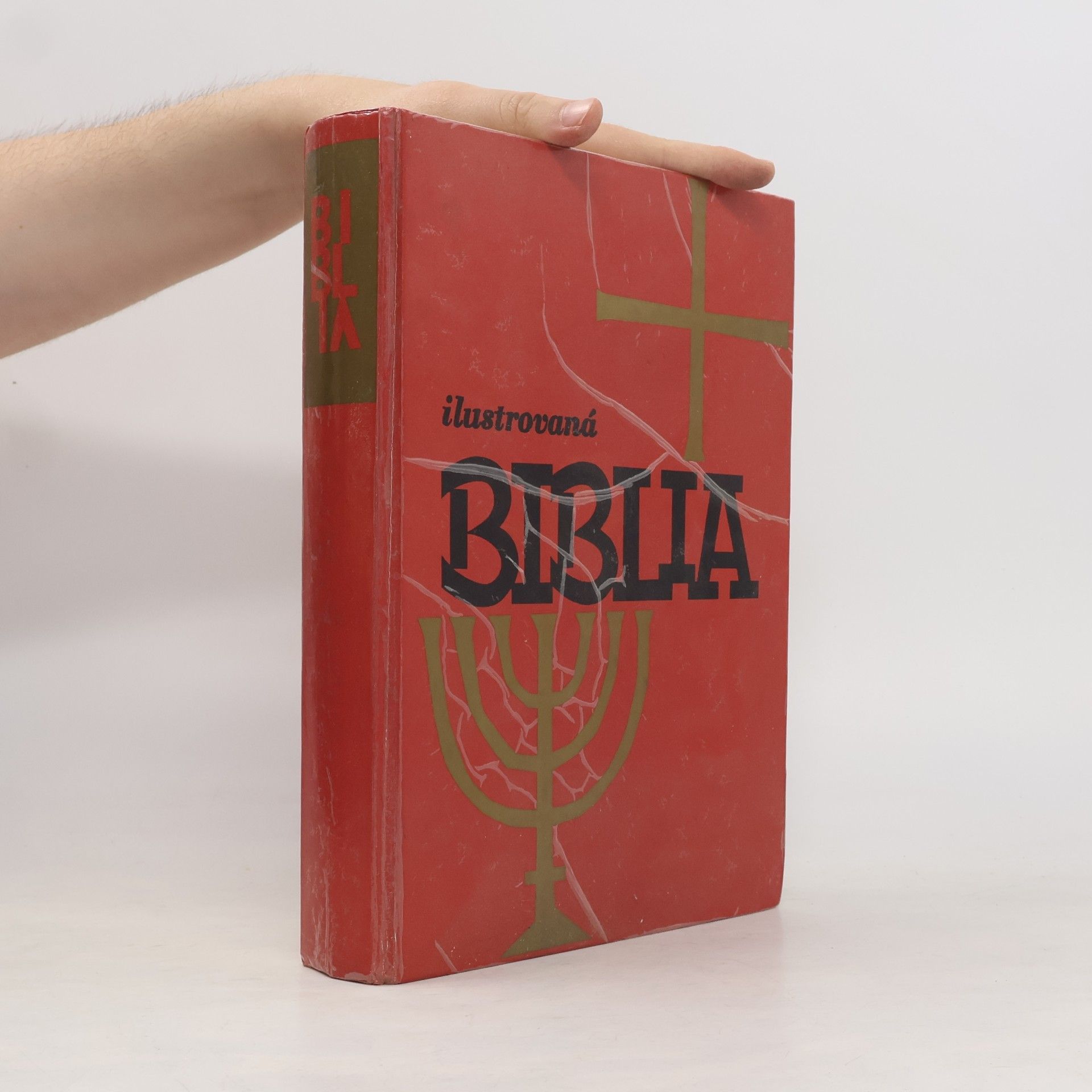 Autorenkollektiv Ilustrovaná biblia