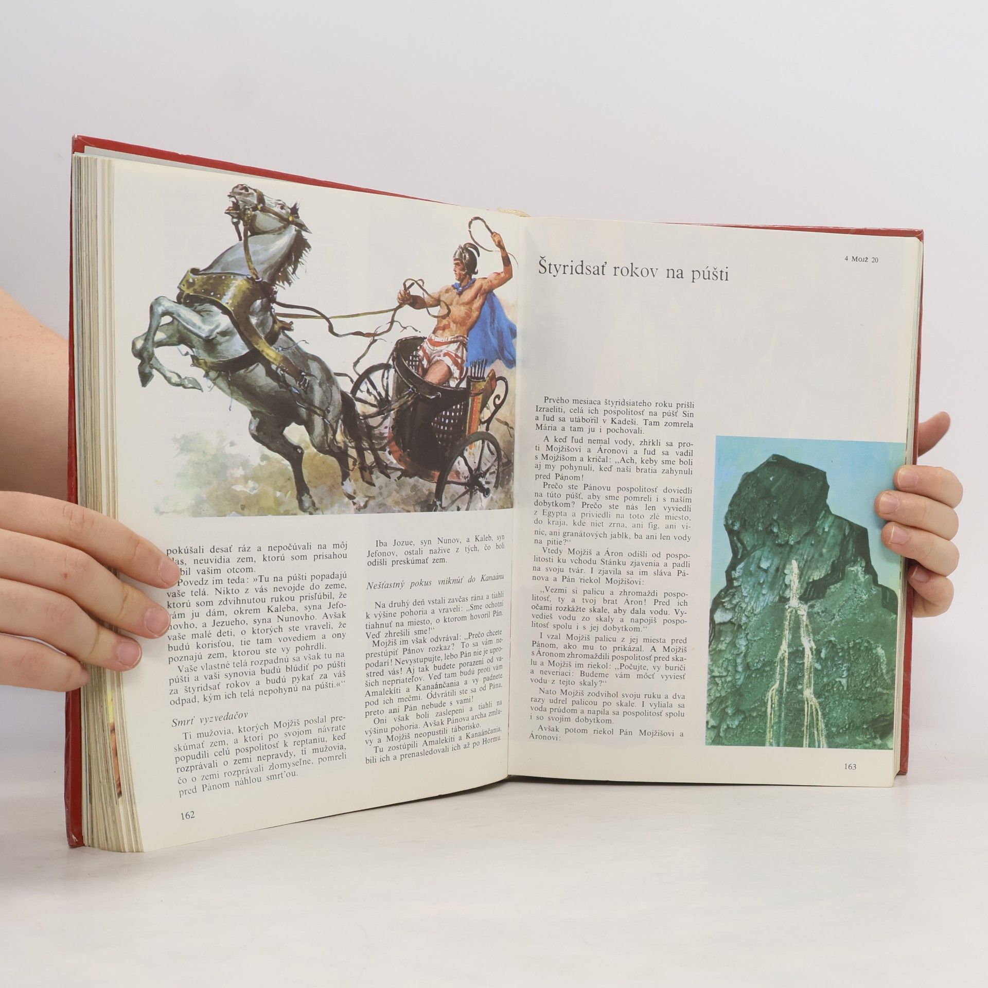 Kolektiv autorů Ilustrovaná biblia
