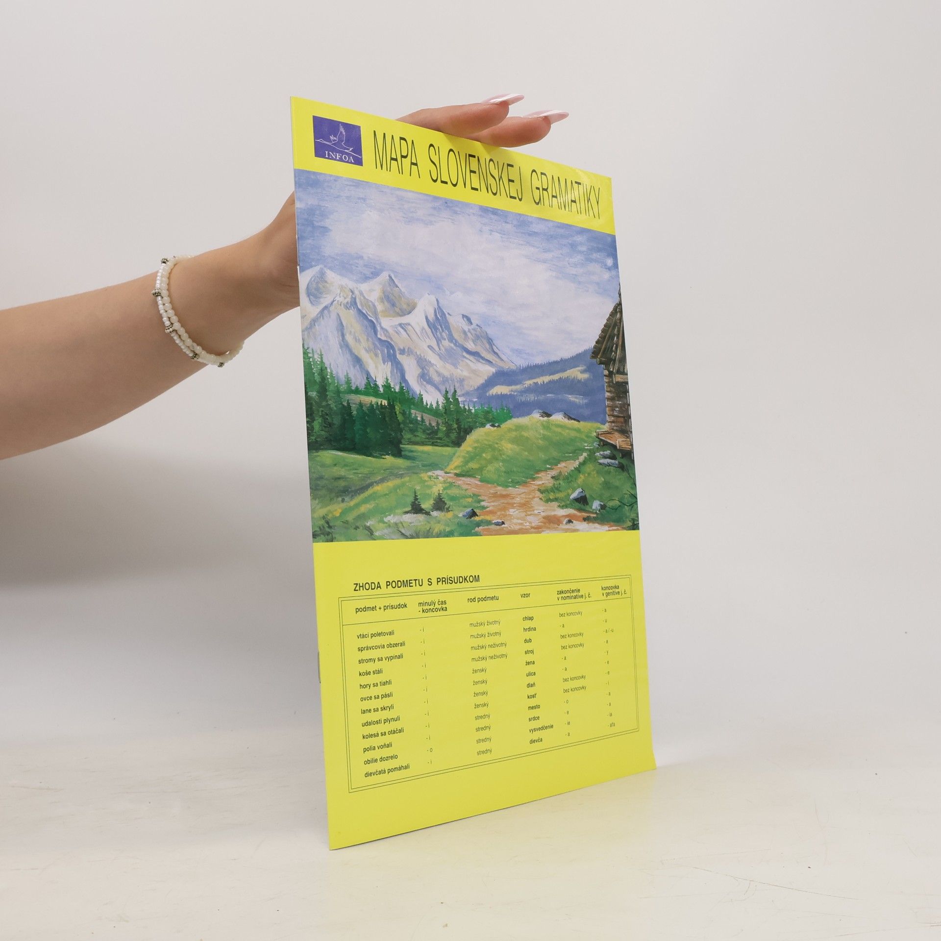 Jindřich Vlček Mapa slovenskej gramatiky