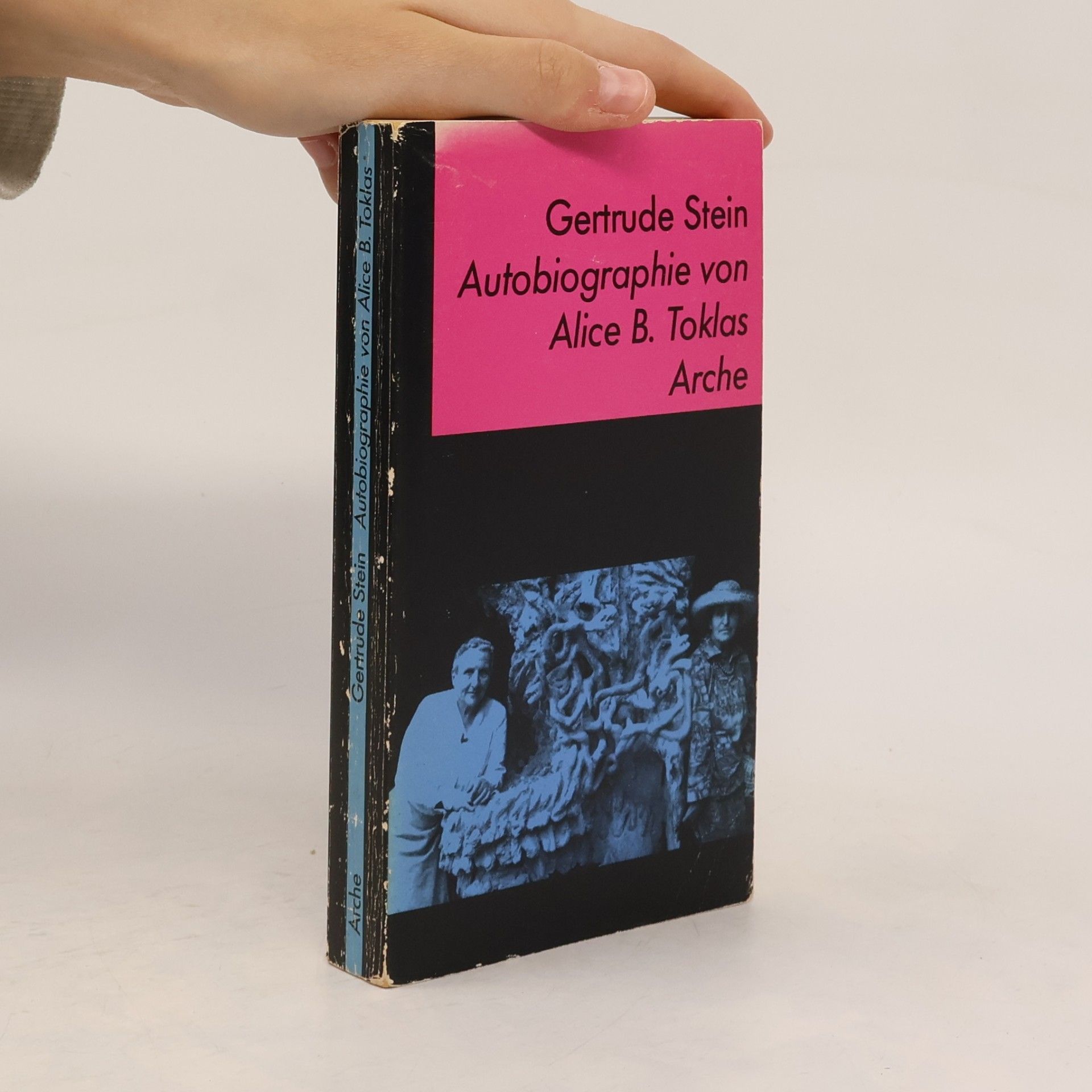 Gertrude Stein Autobiographie von Alice B. Toklas