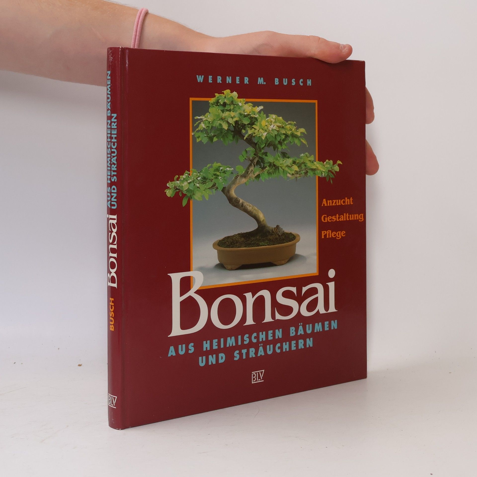 Werner M. Busch Bonsai aus heimischen Bäumen und Sträuchern
