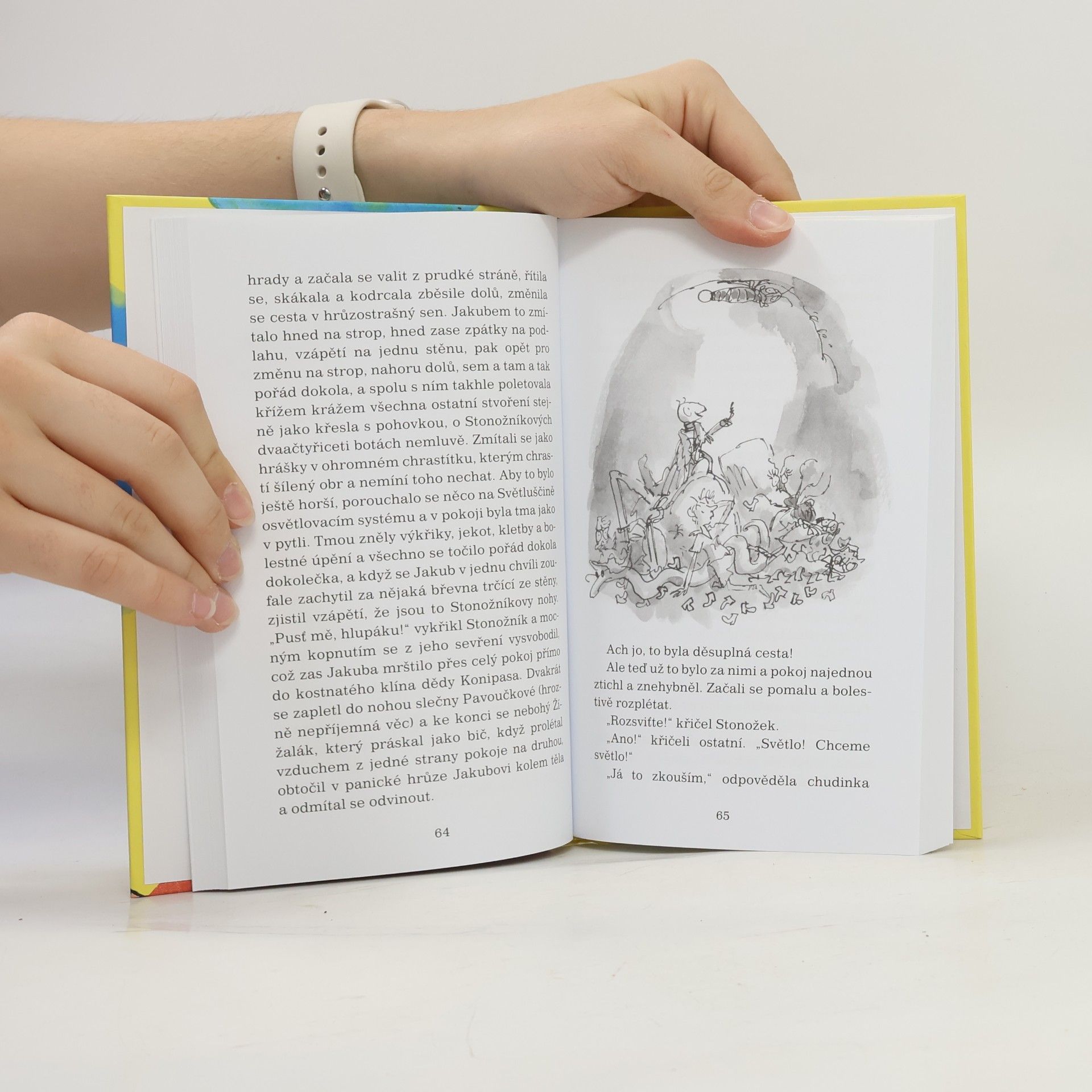 Roald Dahl Jakub a obří broskev