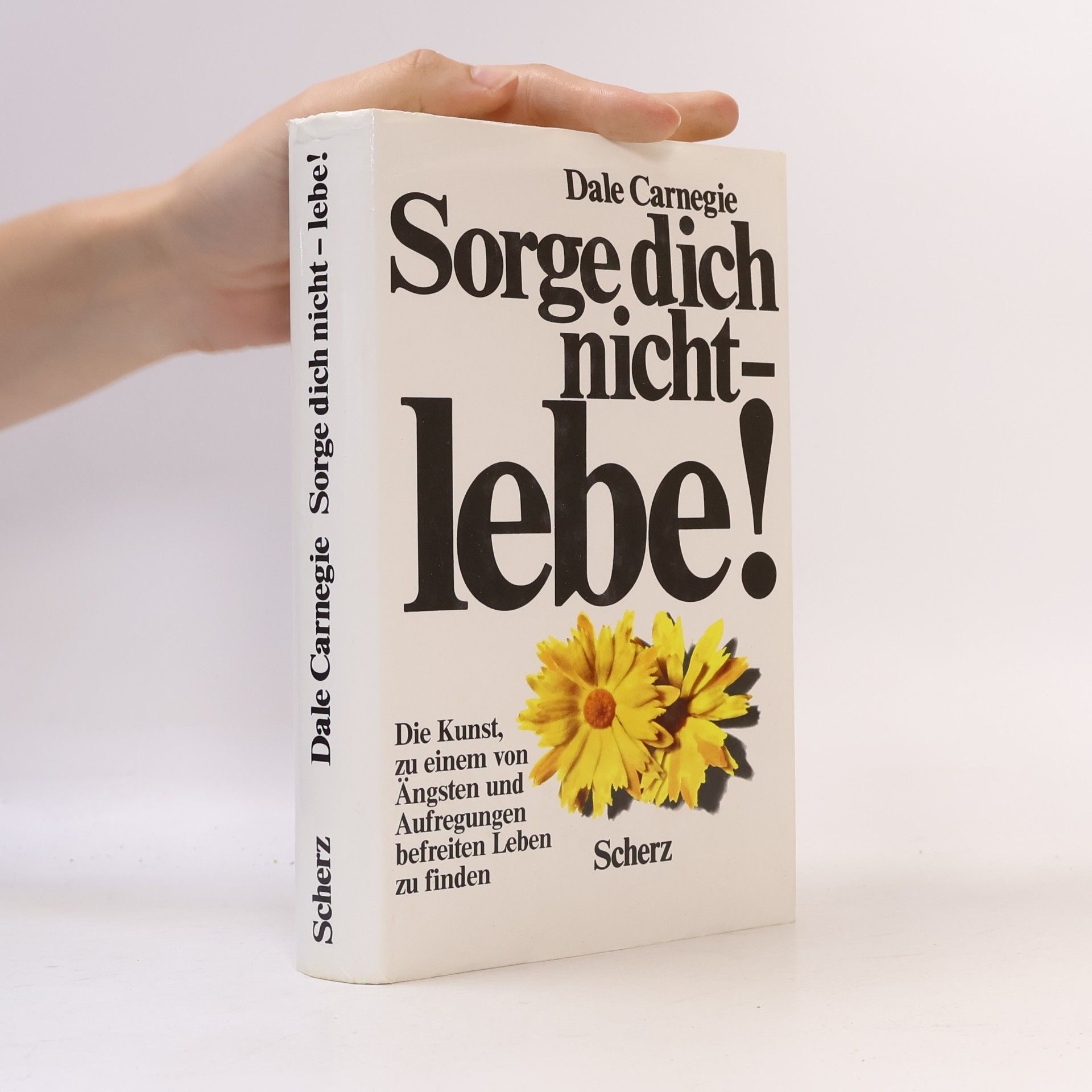 Dale Carnegie Sorge dich nicht - lebe!
