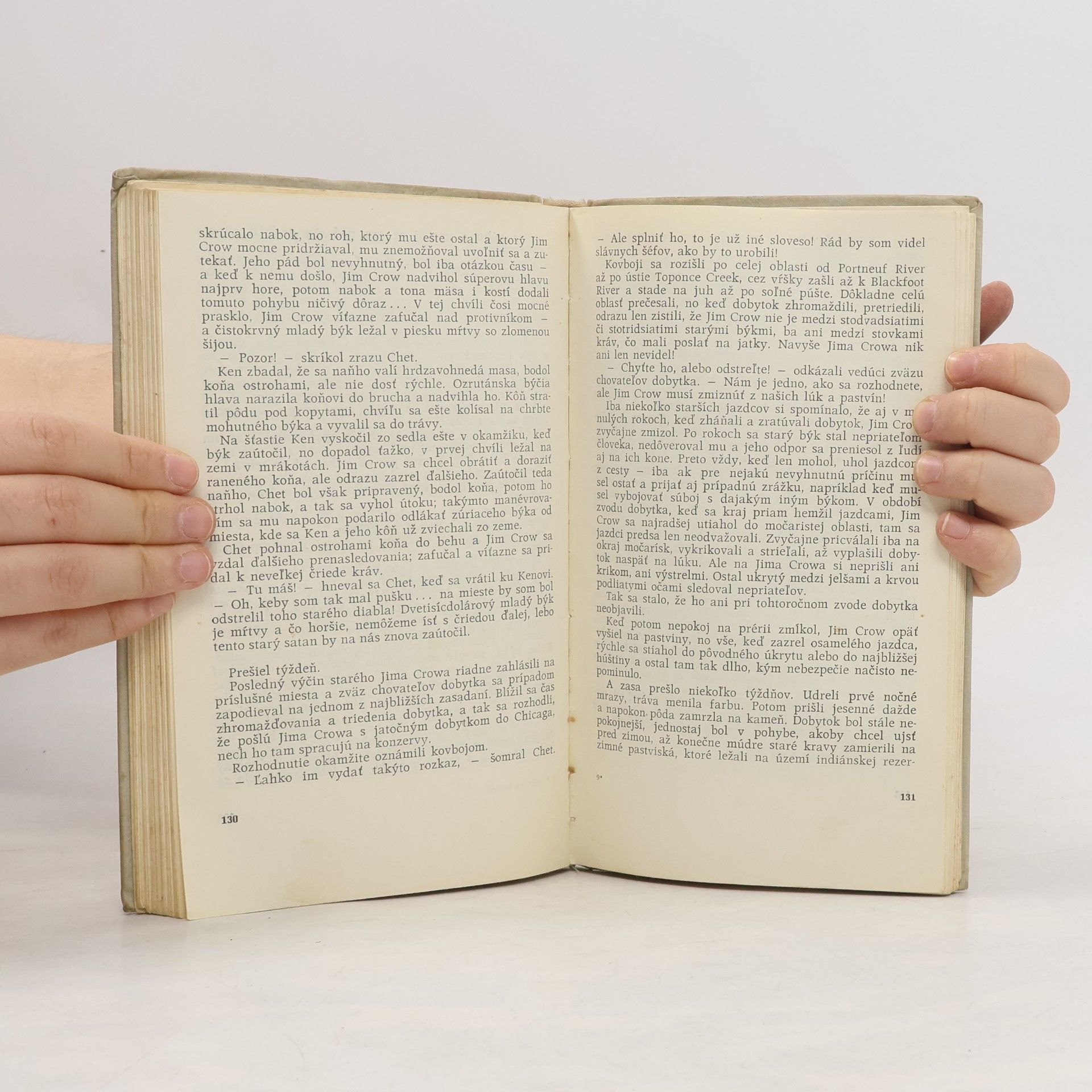 Autorenkollektiv Pištoľníci a kovboji