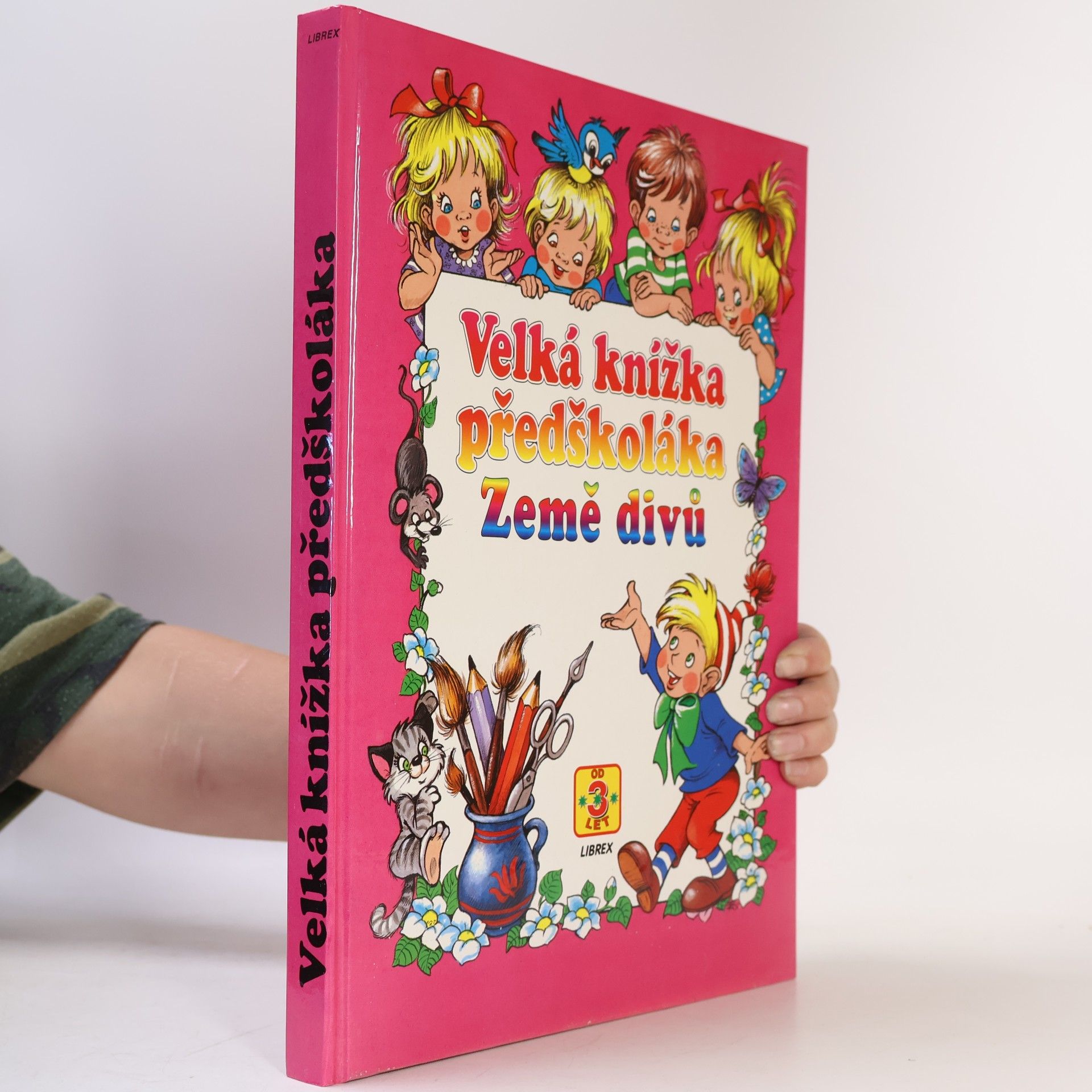 Velká knížka předškoláka : země divů