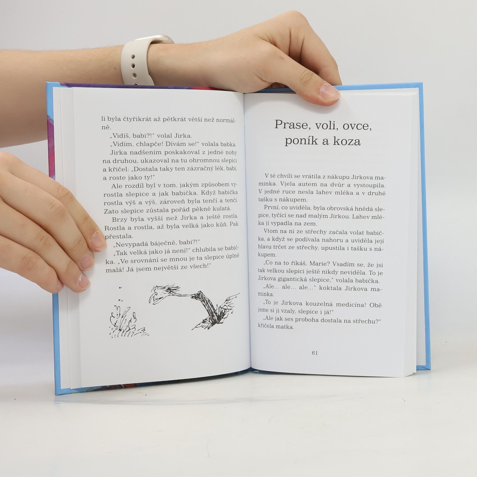 Roald Dahl Jirkova zázračná medicína