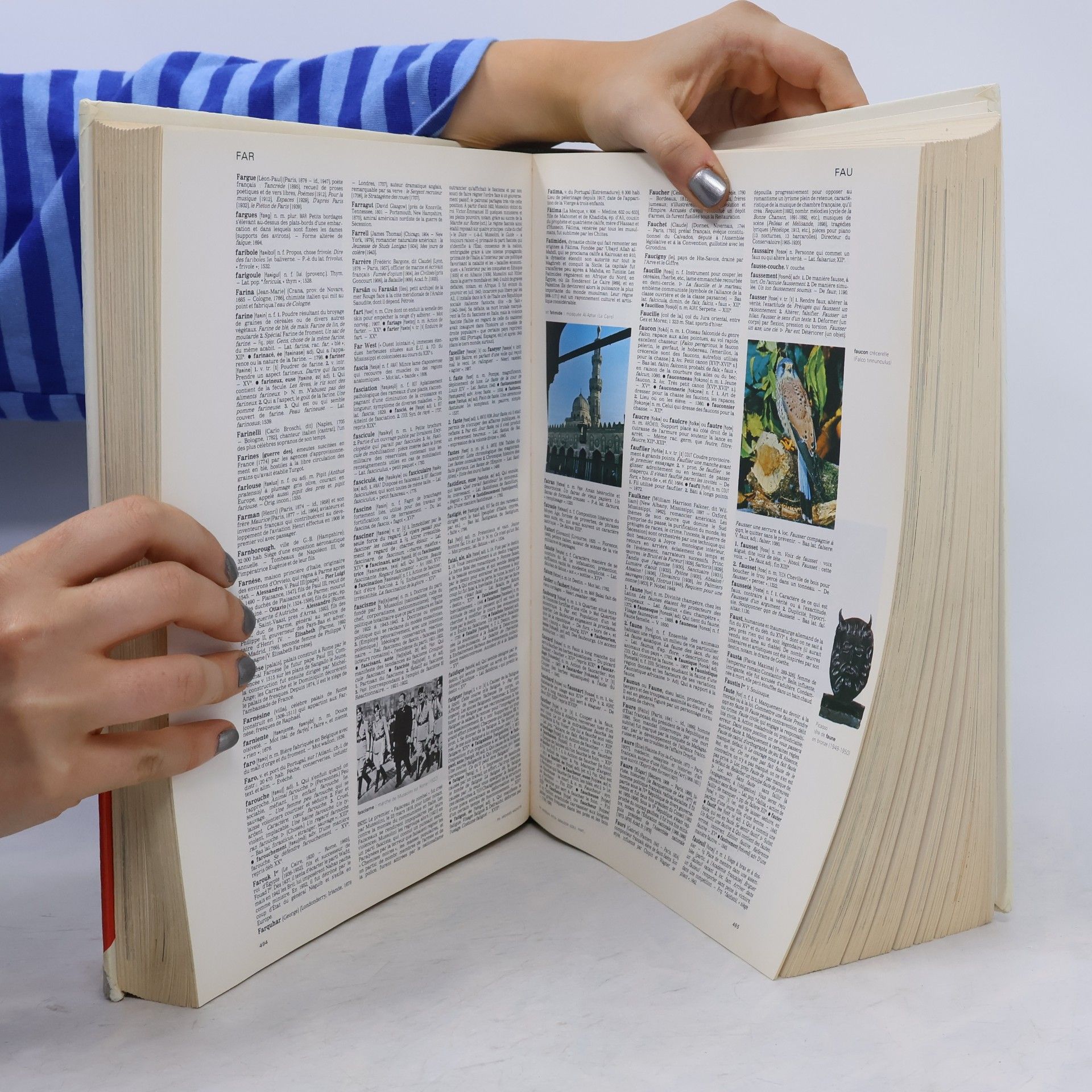 Beaux Livres: Dictionnaire de la langue française