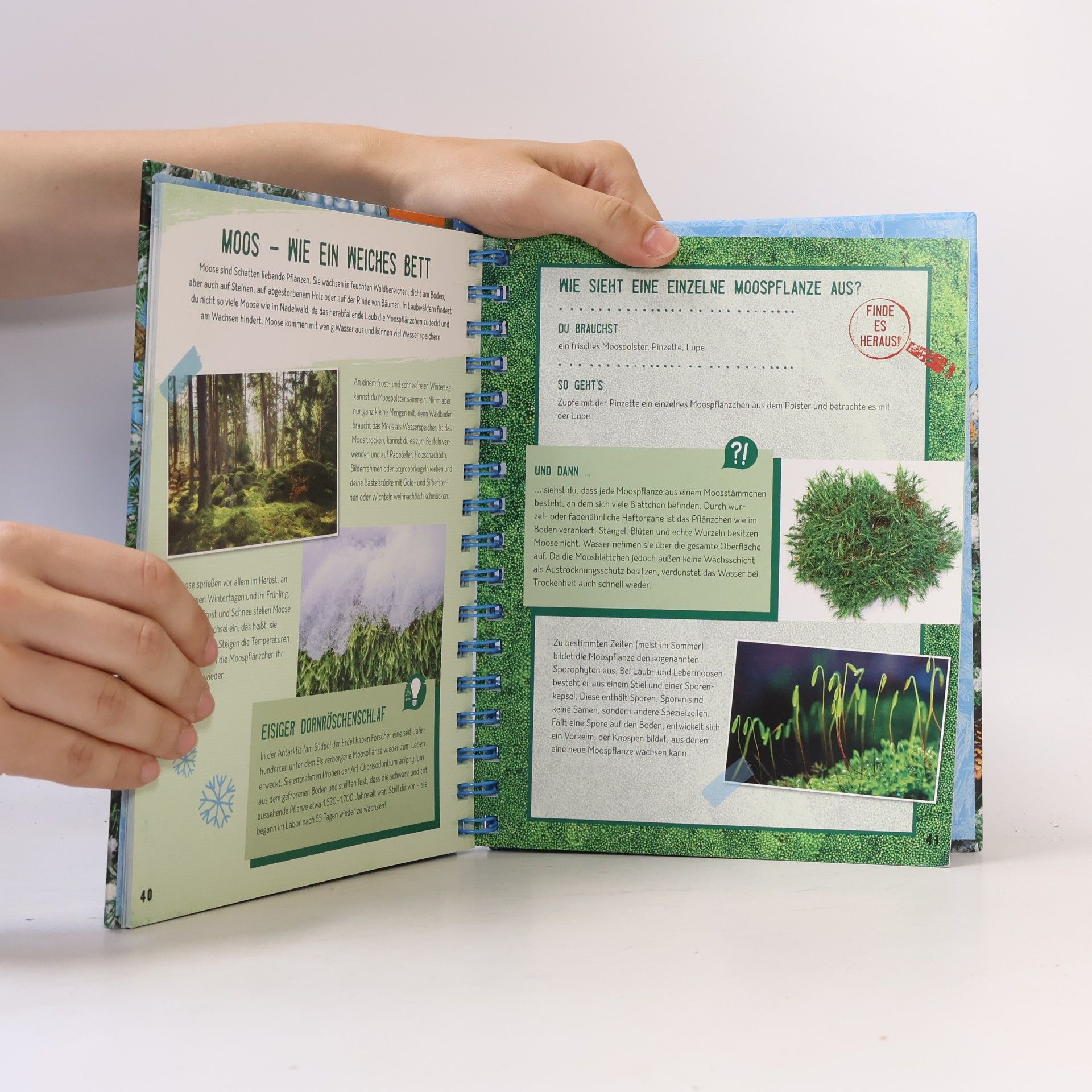 Anita van Saan Expedition Natur: Das große Winterbuch
