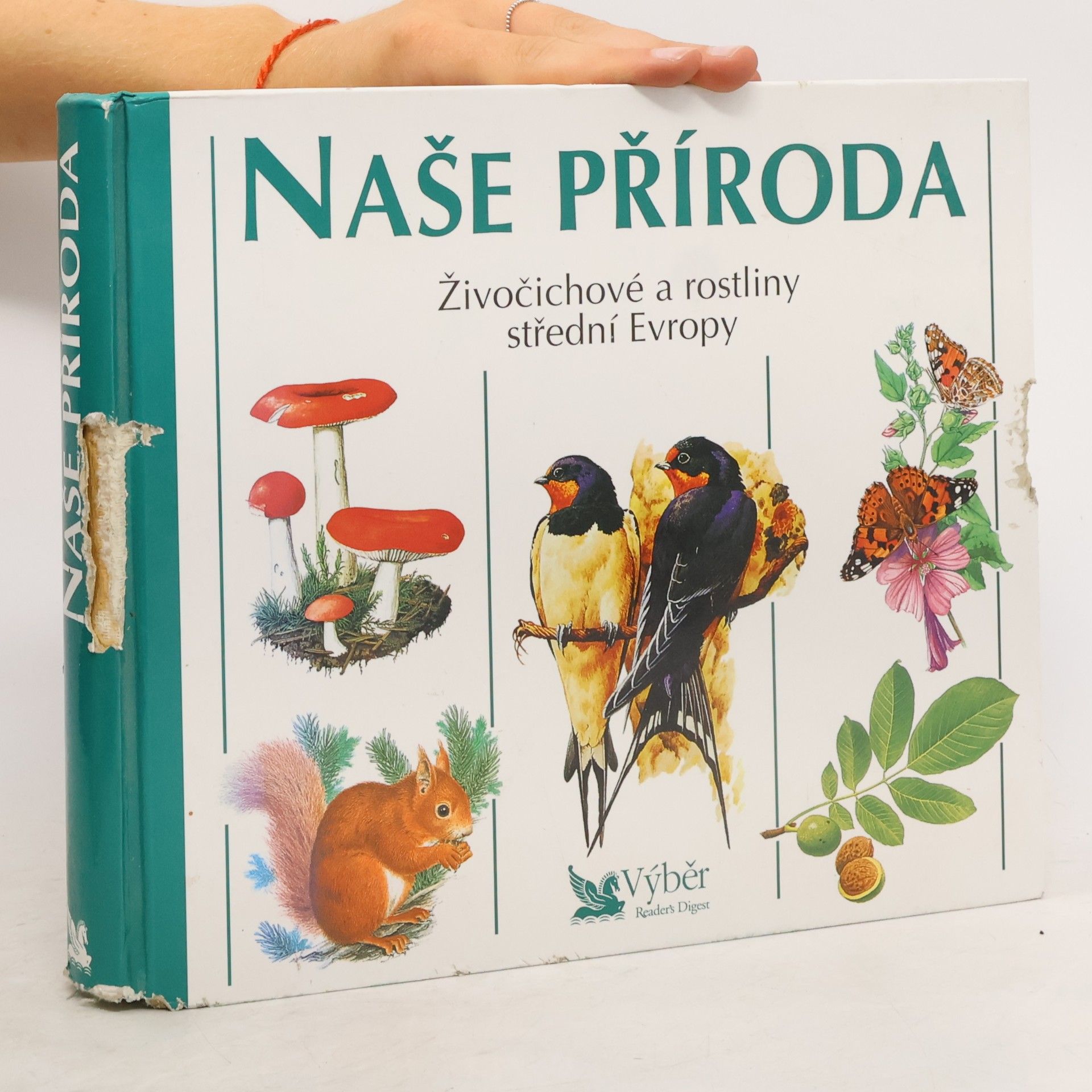 Kolektiv autorů Naše příroda