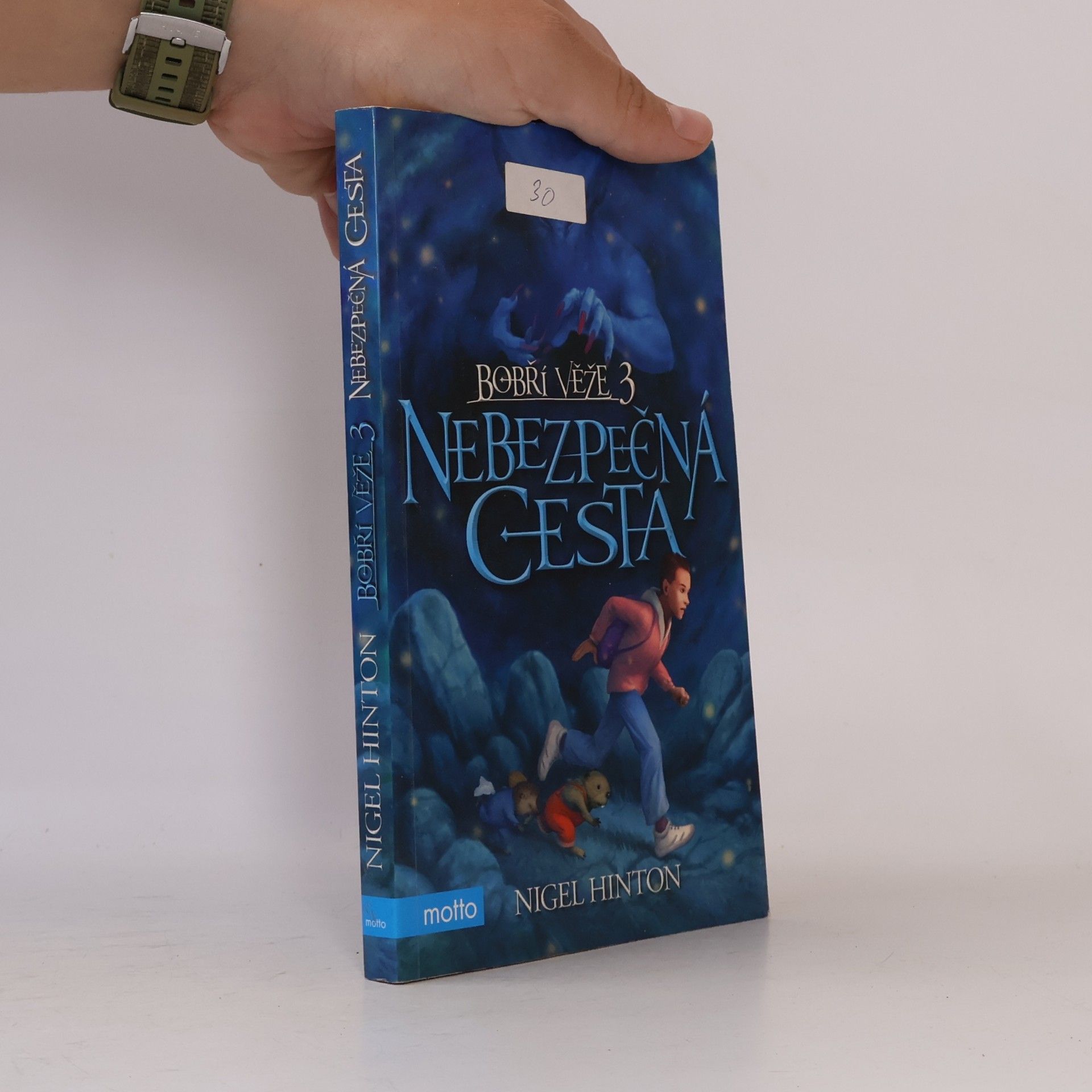 Nigel Hinton Bobří věže. 3. díl. Nebezpečná cesta