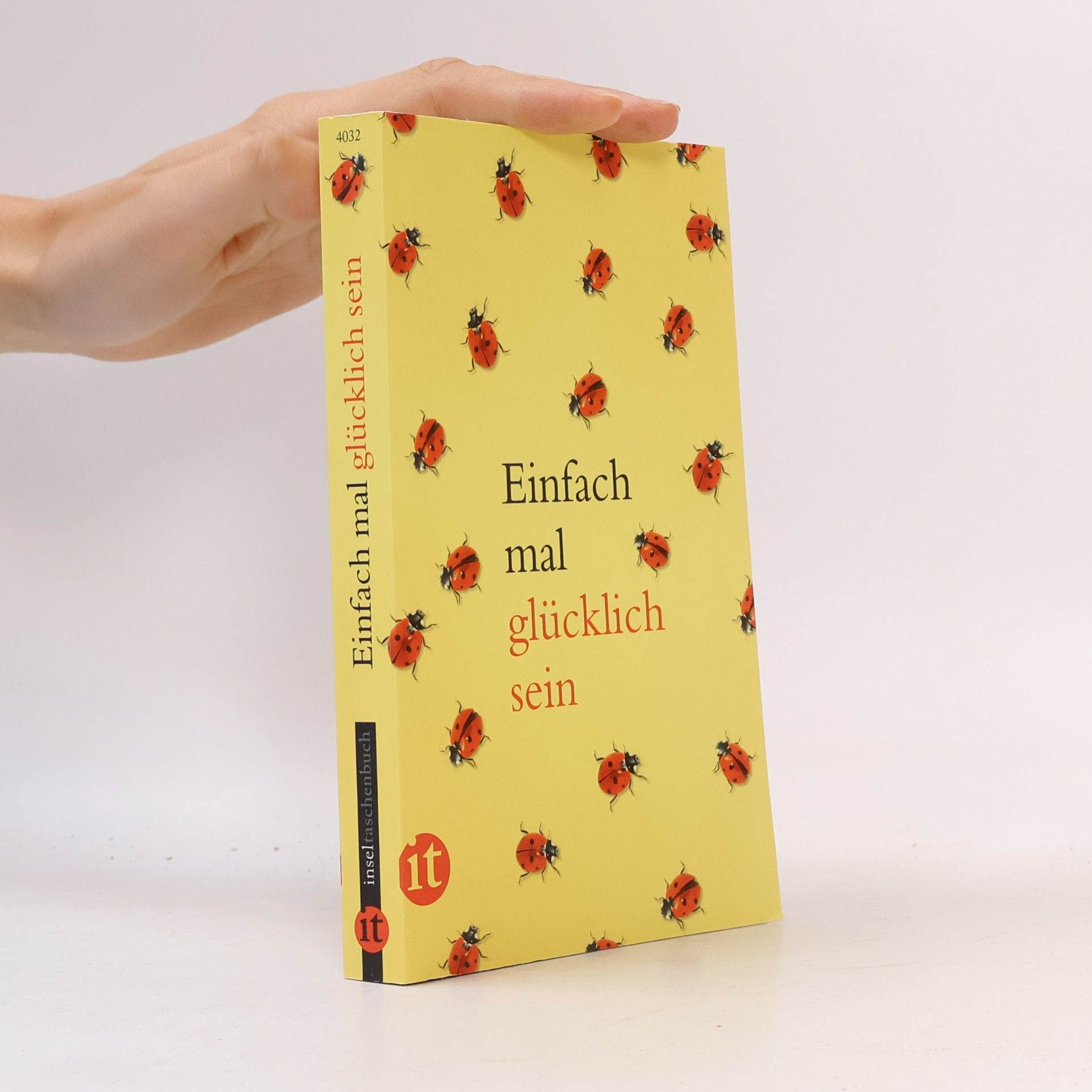 Autorenkollektiv Einfach mal glücklich sein