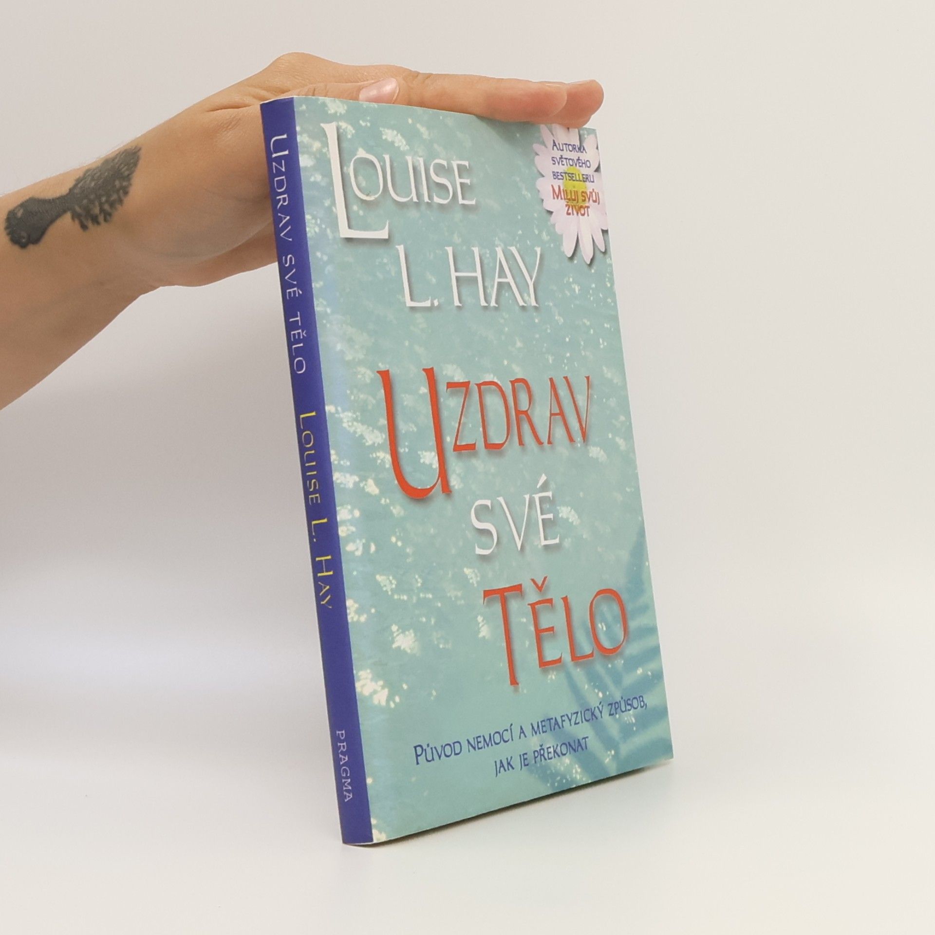 Lousie L. Hay Uzdrav své tělo: Původ nemocí a metafyzický způsob, jak je překonat