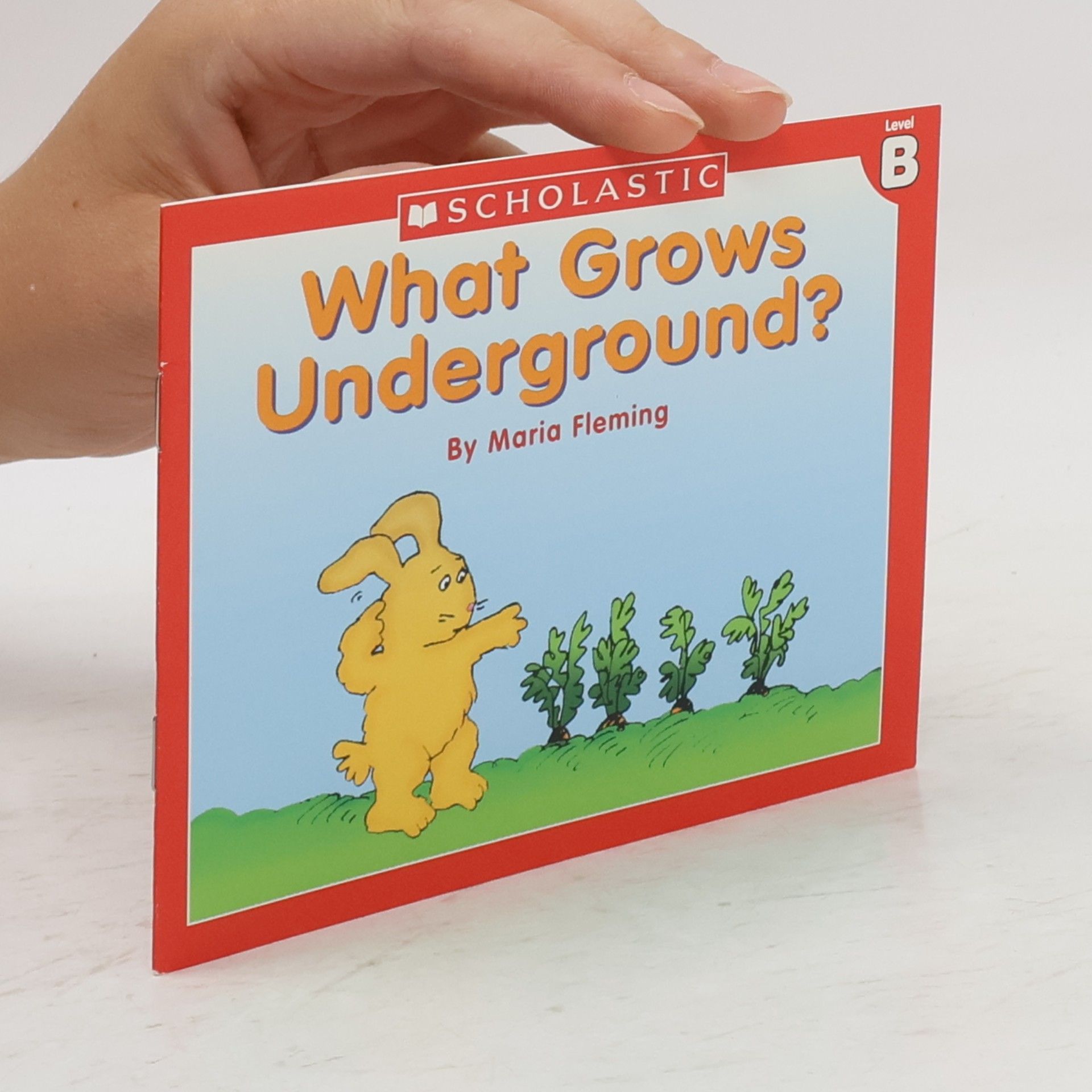 Maria Fleming What Grows Underground?