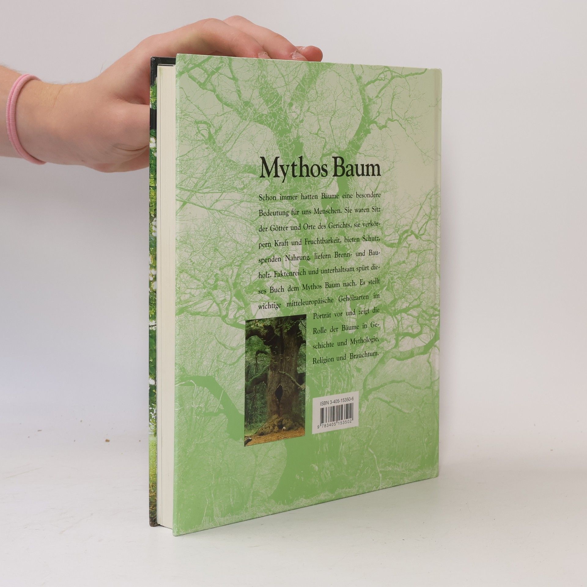 Doris Laudert Mythos Baum