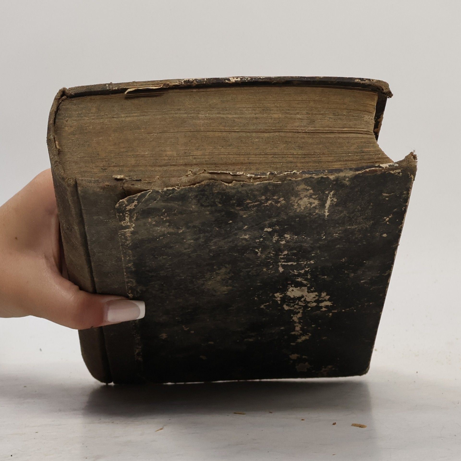 Heinrich Diehoff Handbuch der Deutschen Nationalliteratur. Erster und Zweiter Theil