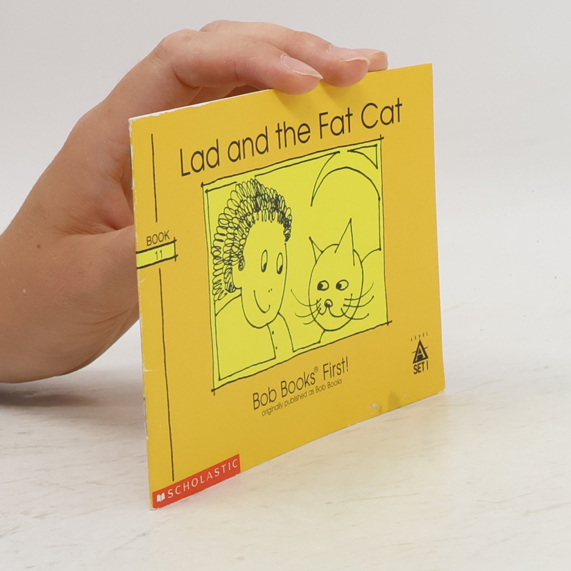 John R. Maslen Lad and the Fat Cat (Bob Books First!, Level A, Set 1, Book 11))