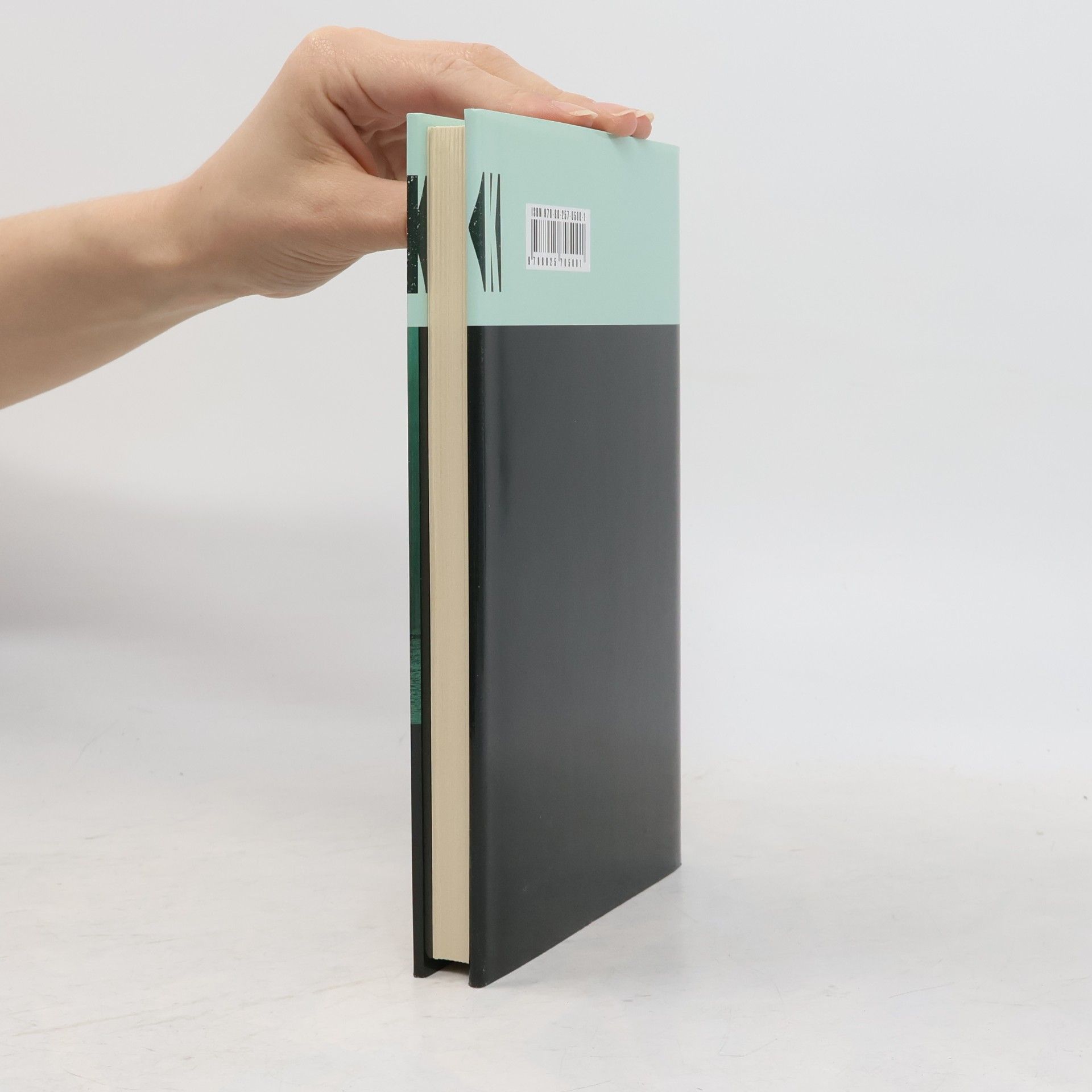 Jack Kerouac Můj bratr oceán