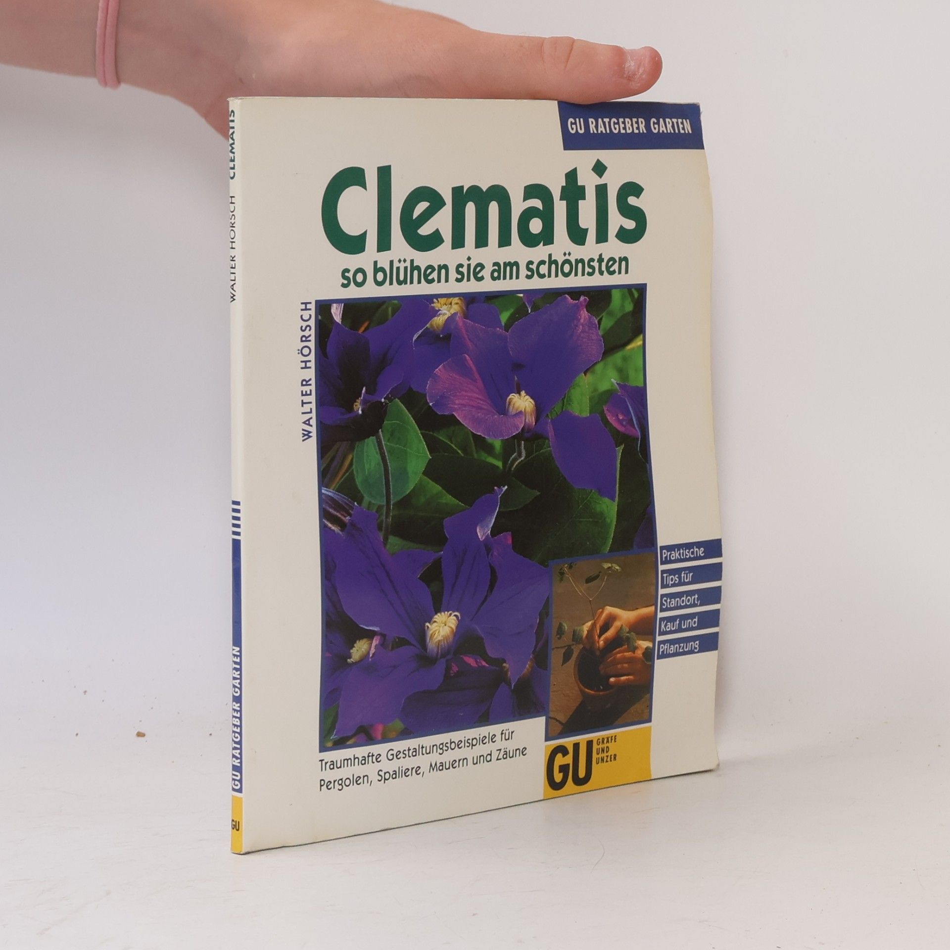Walter Hörsch Clematis so blühen sie am schönsten