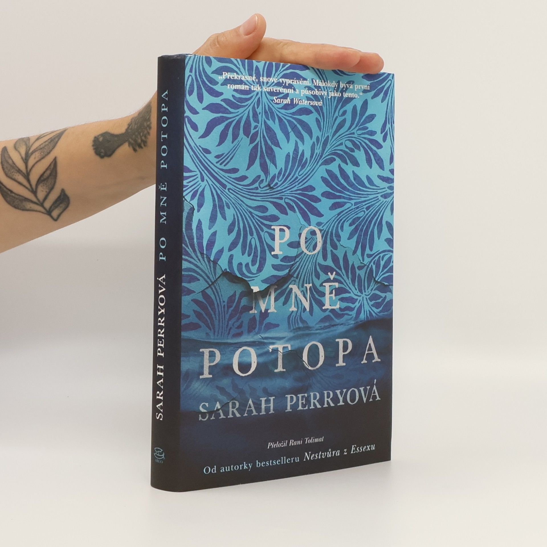 Sarah Perry Po mně potopa