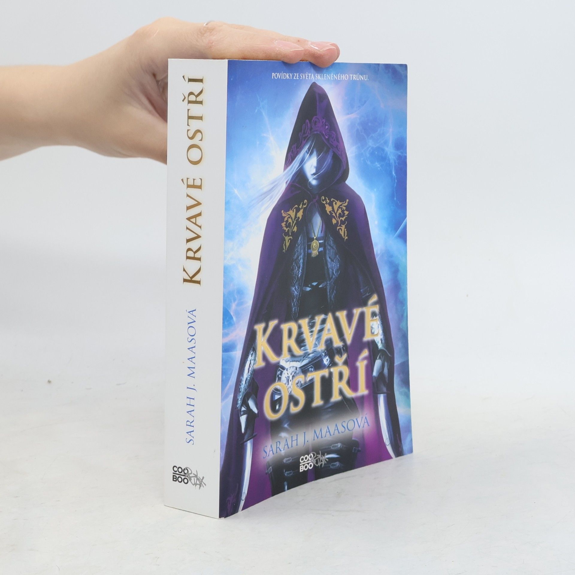 Sarah J. Maas Krvavé ostří