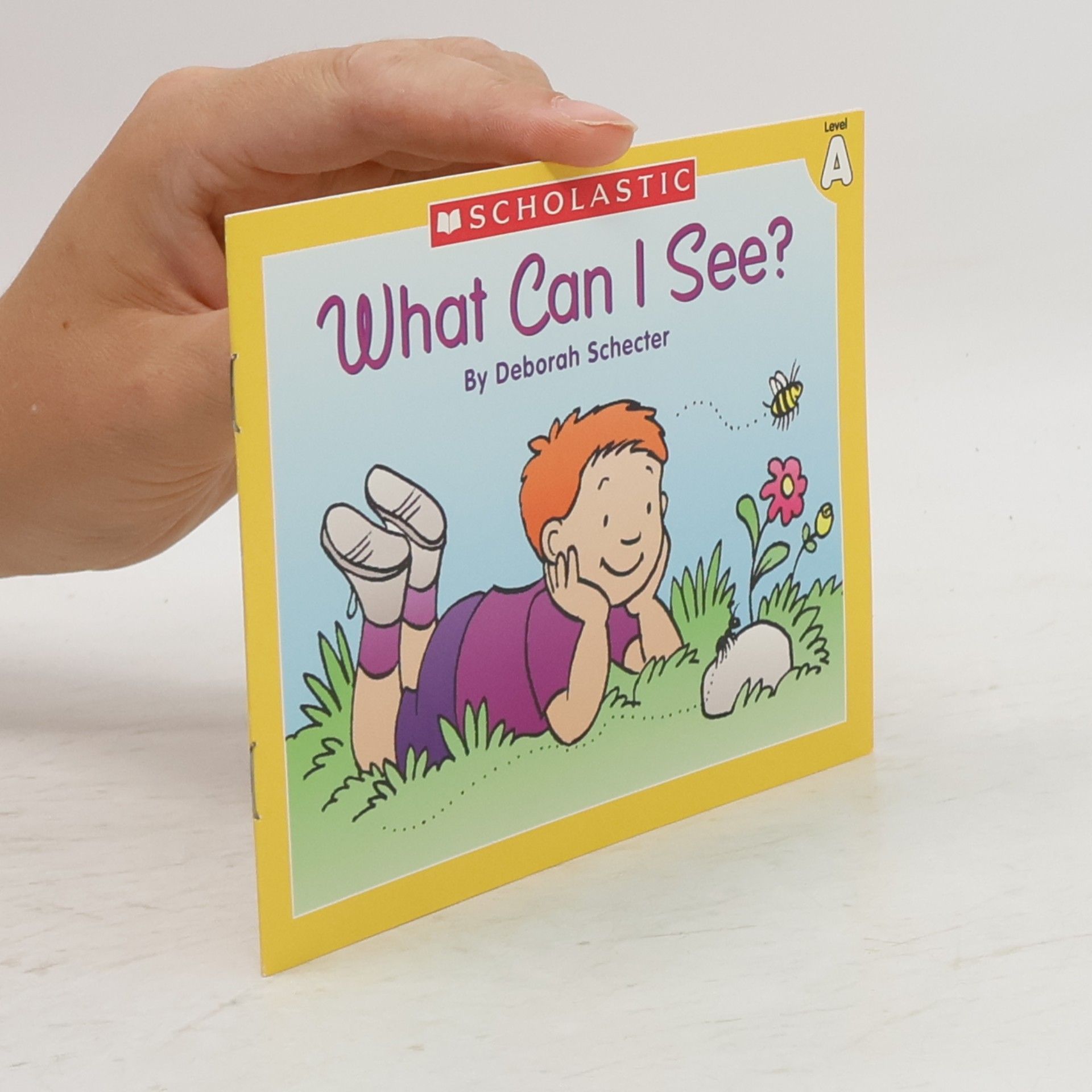 DEBORAH SCHECTER Little Leveled Readers