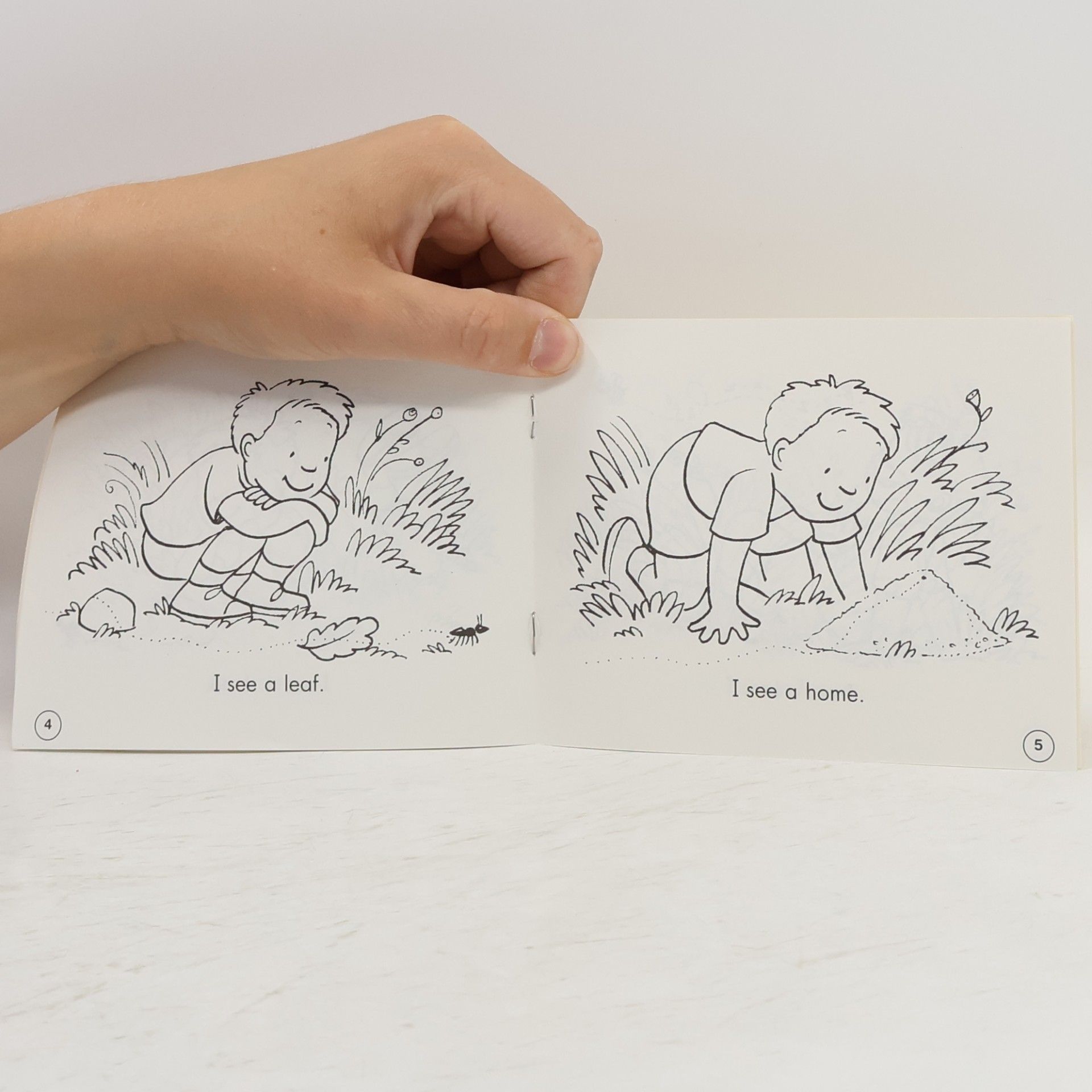 DEBORAH SCHECTER Little Leveled Readers