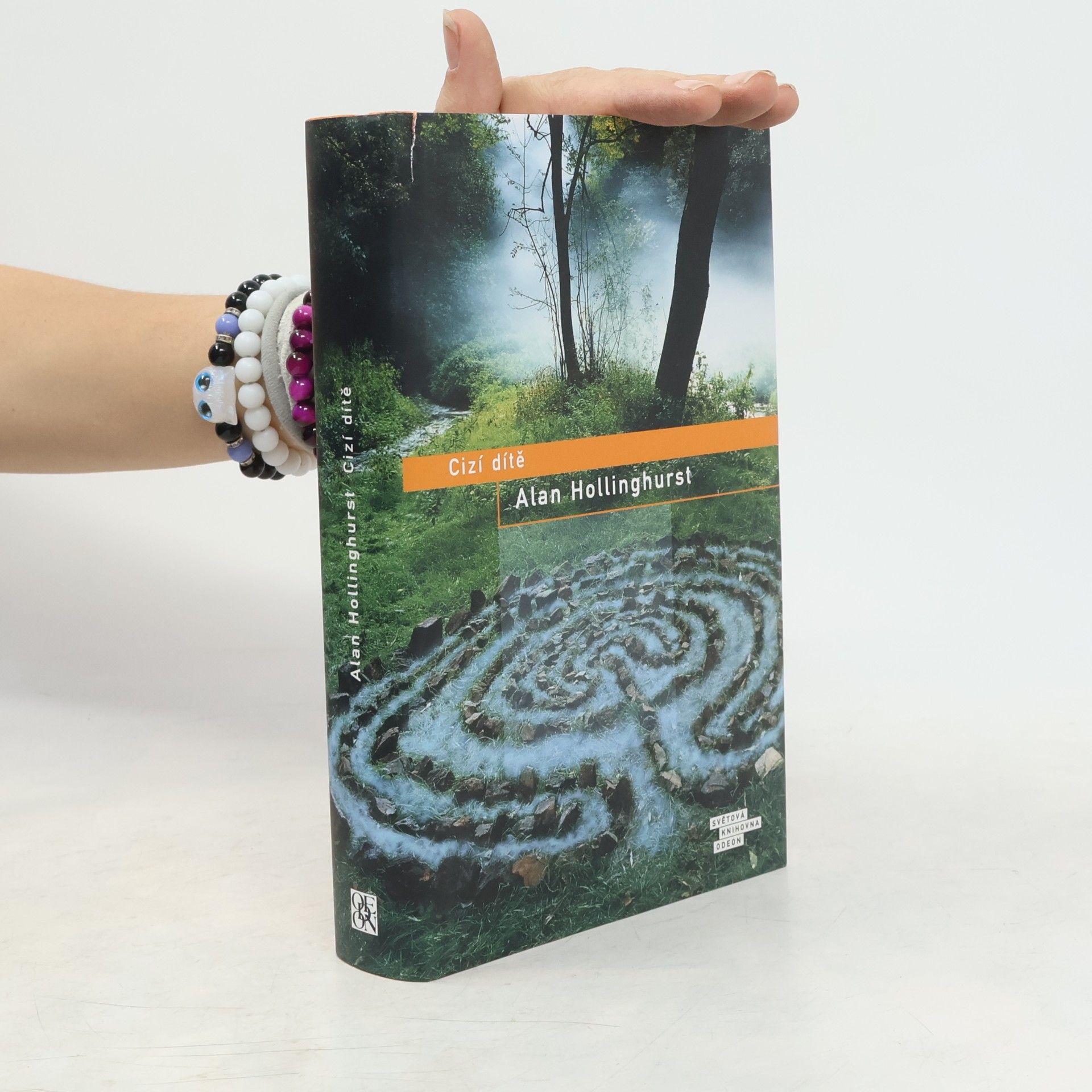 Alan Hollinghurst Cizí dítě