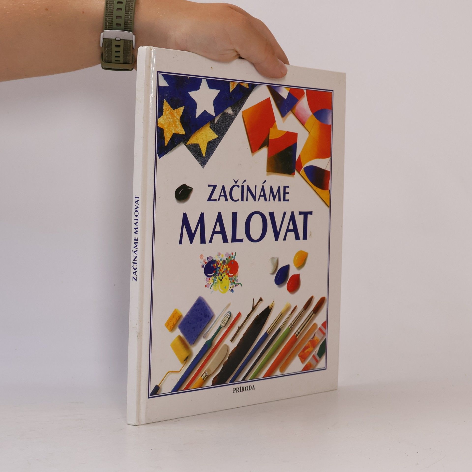 Susan Mayes Začínáme malovat